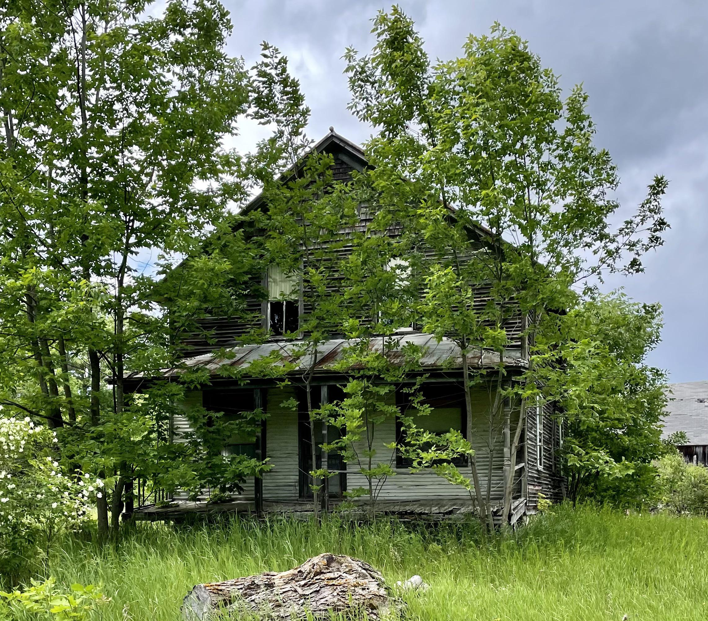 Abandoned, overgrown farmhouse. NE Wisconsin, USA. r/AbandonedPorn