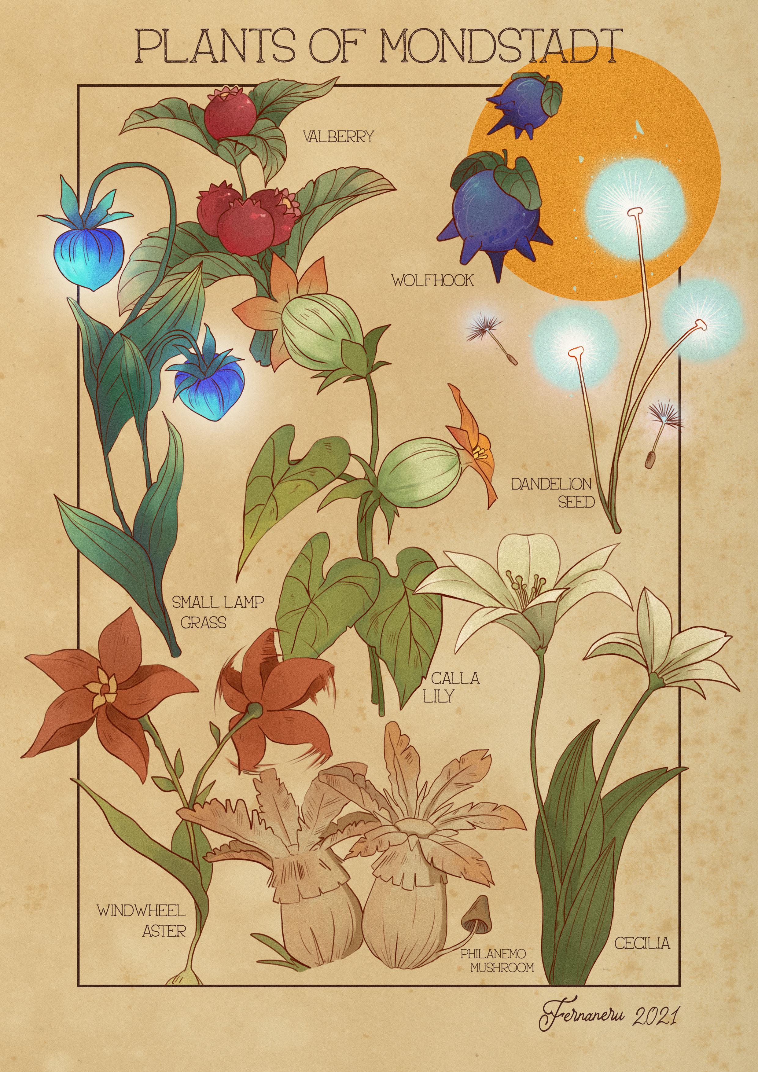 Don't to grab 'em during the Windblume Festival r/Genshin_Impact