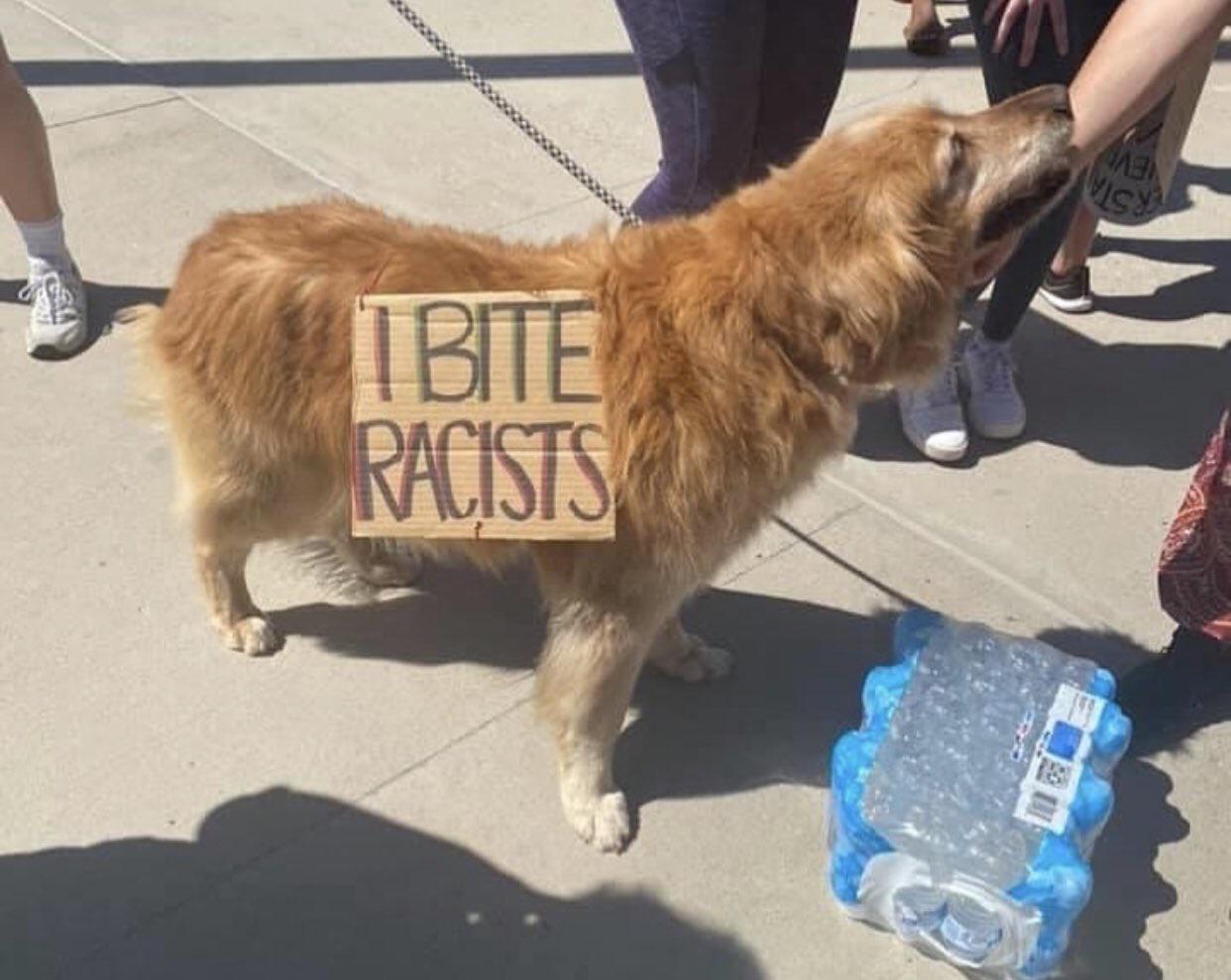 Just unsubbed from r/Eyebleach. Do I even need to explain? r/JustUnsubbed