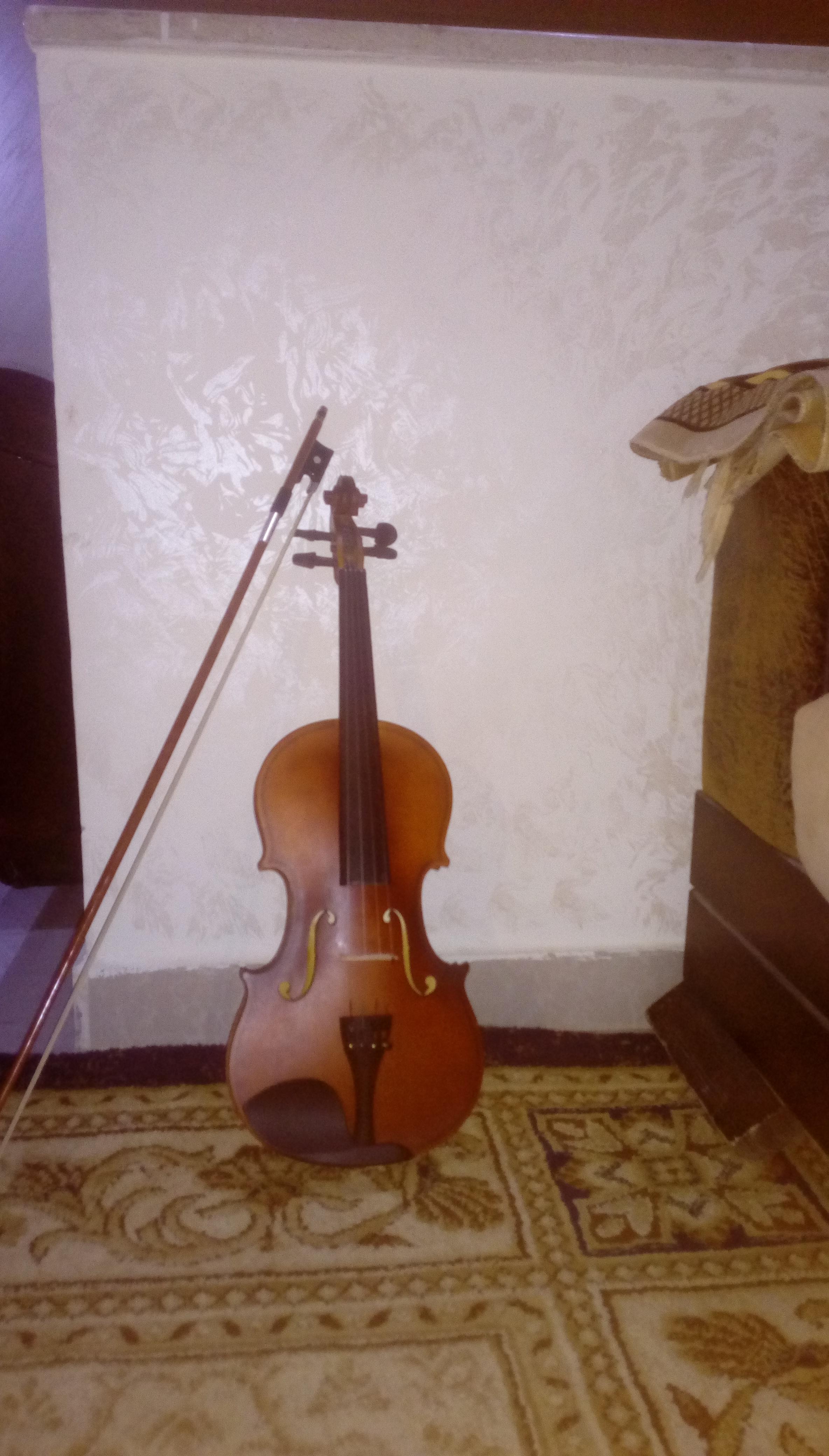 Should I'd sell this and quit the violin??? This cheap violin makes me
