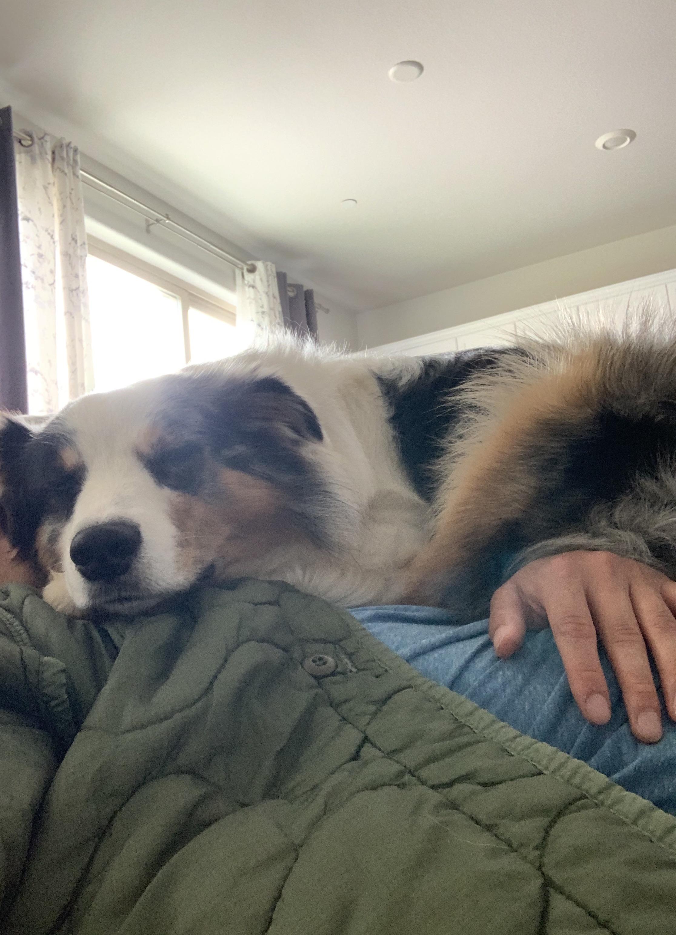 My 3 year old sleeping on my chest like used to when he was a puppy