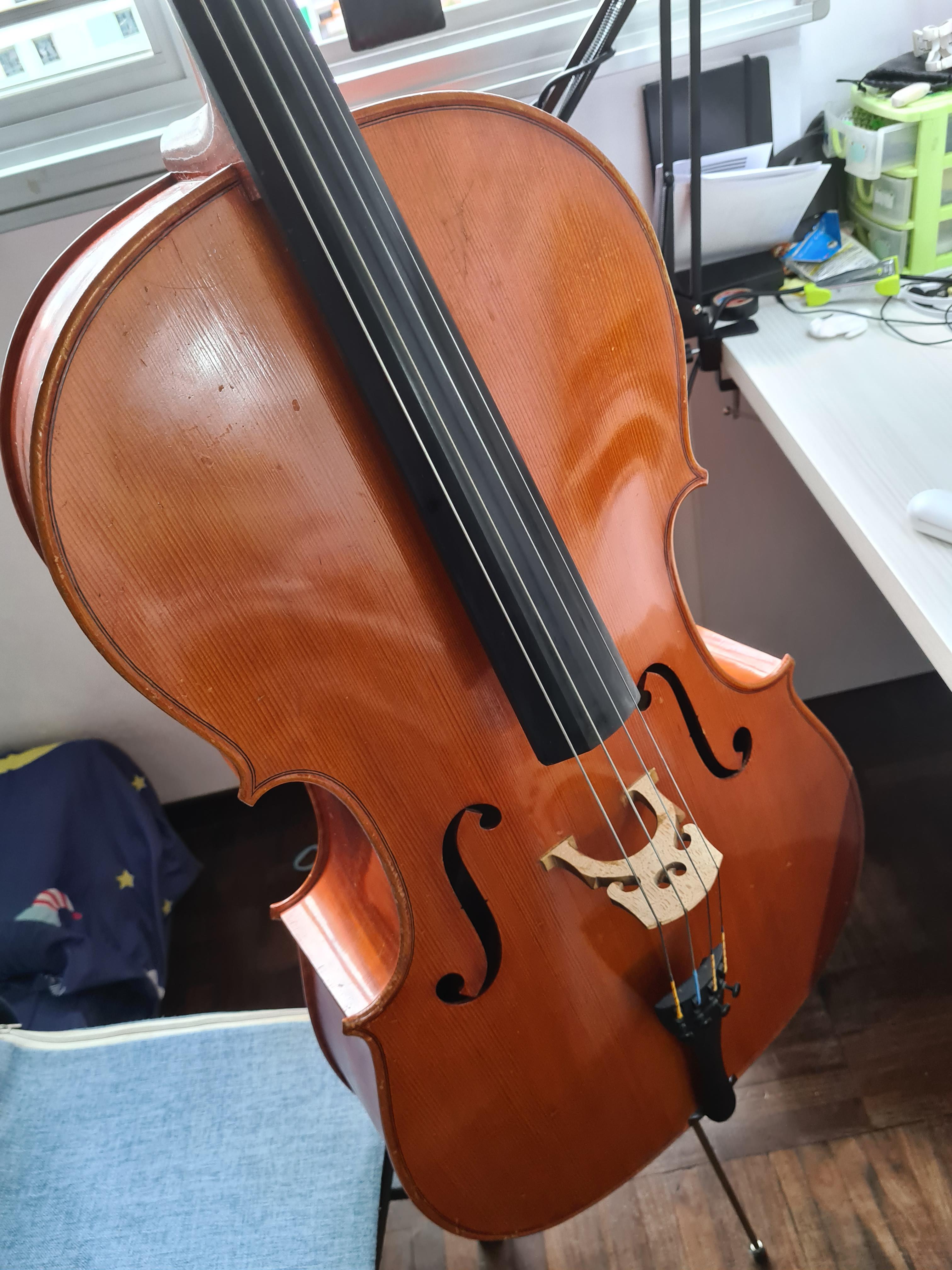 Just got my Cello !! 2nd Hand Euro Model 400 r/Cello