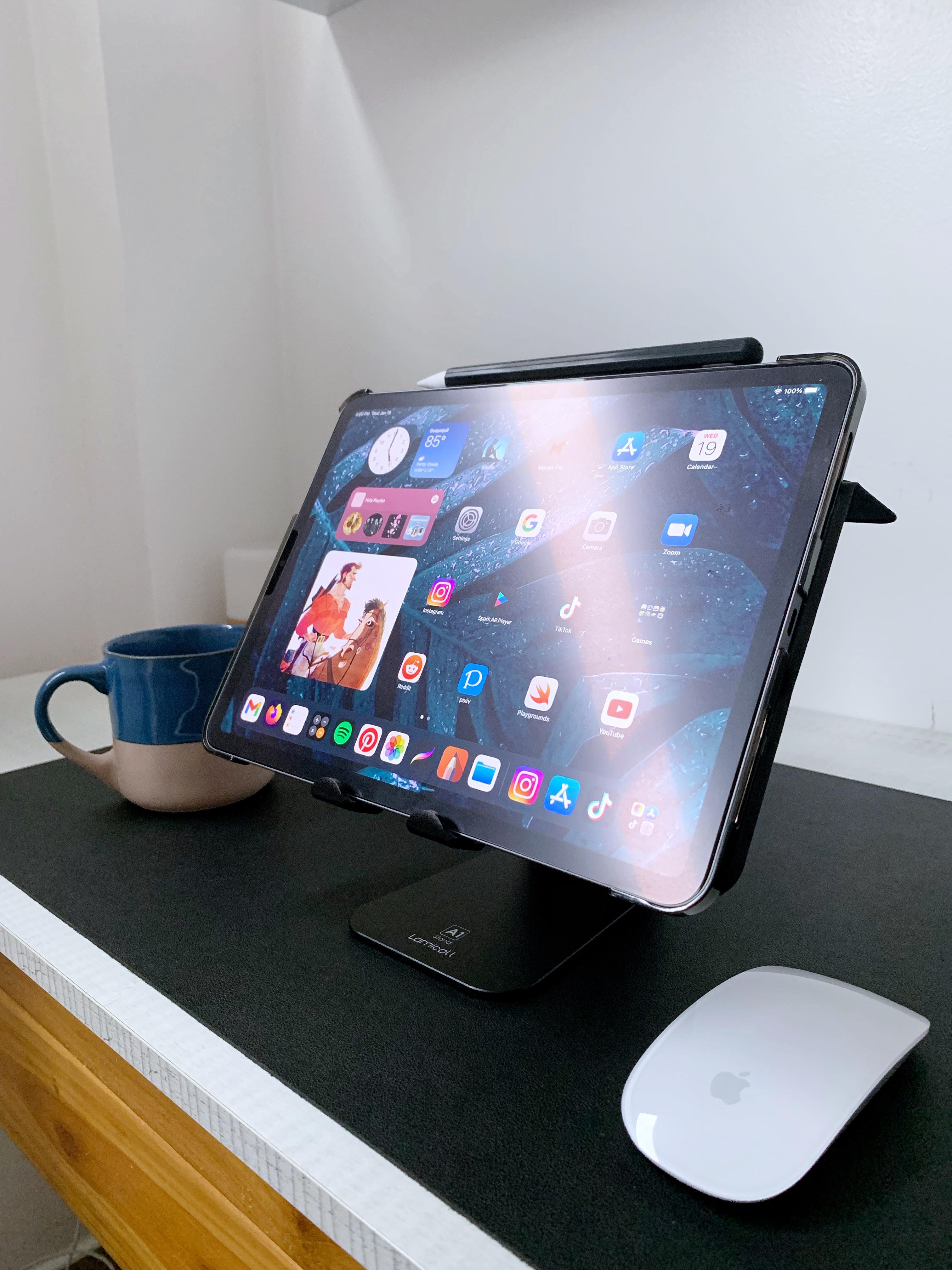 My drawing tablet, gaming console and second computer. r/ipad