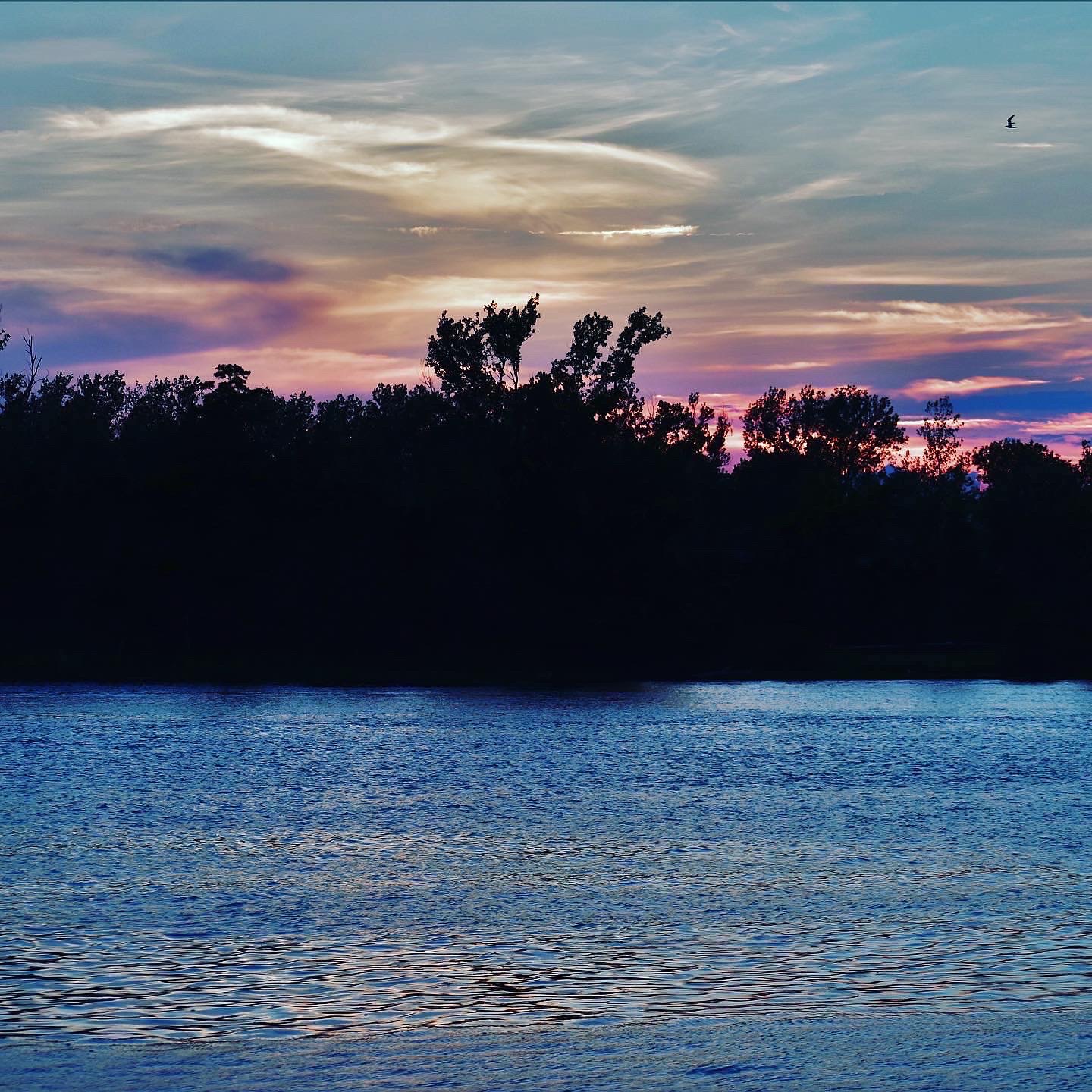 Brunswick River, Wilmington NC r/pics