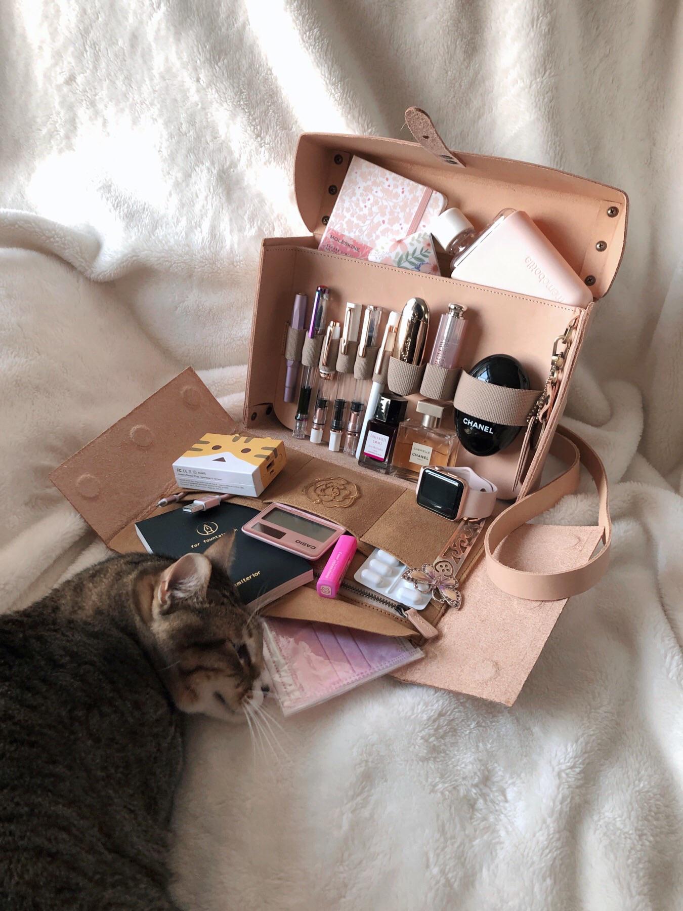 My Galen leather writers medic bag came today! Cat approved too! r