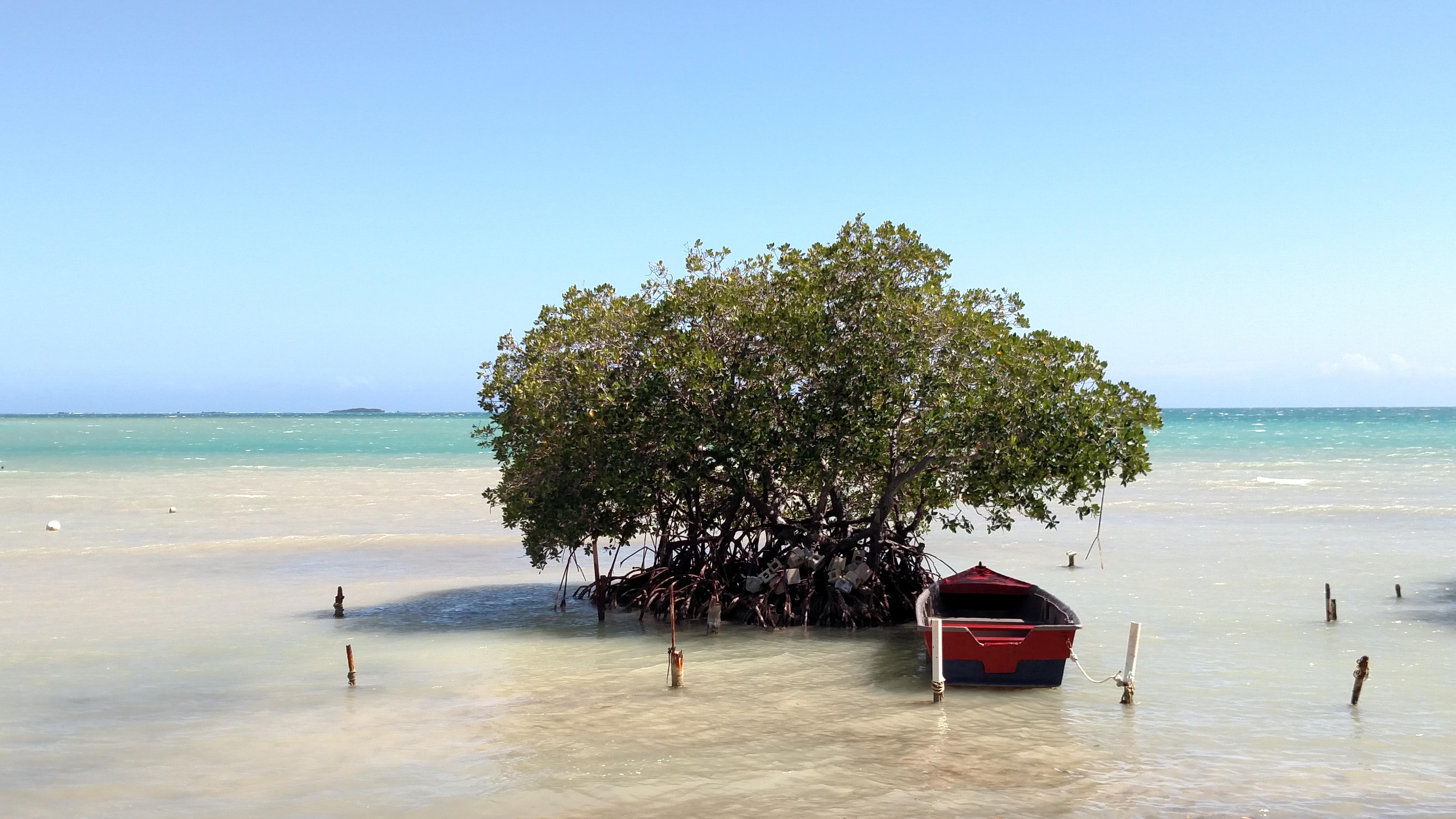 La Parguera, Puerto Rico r/travel