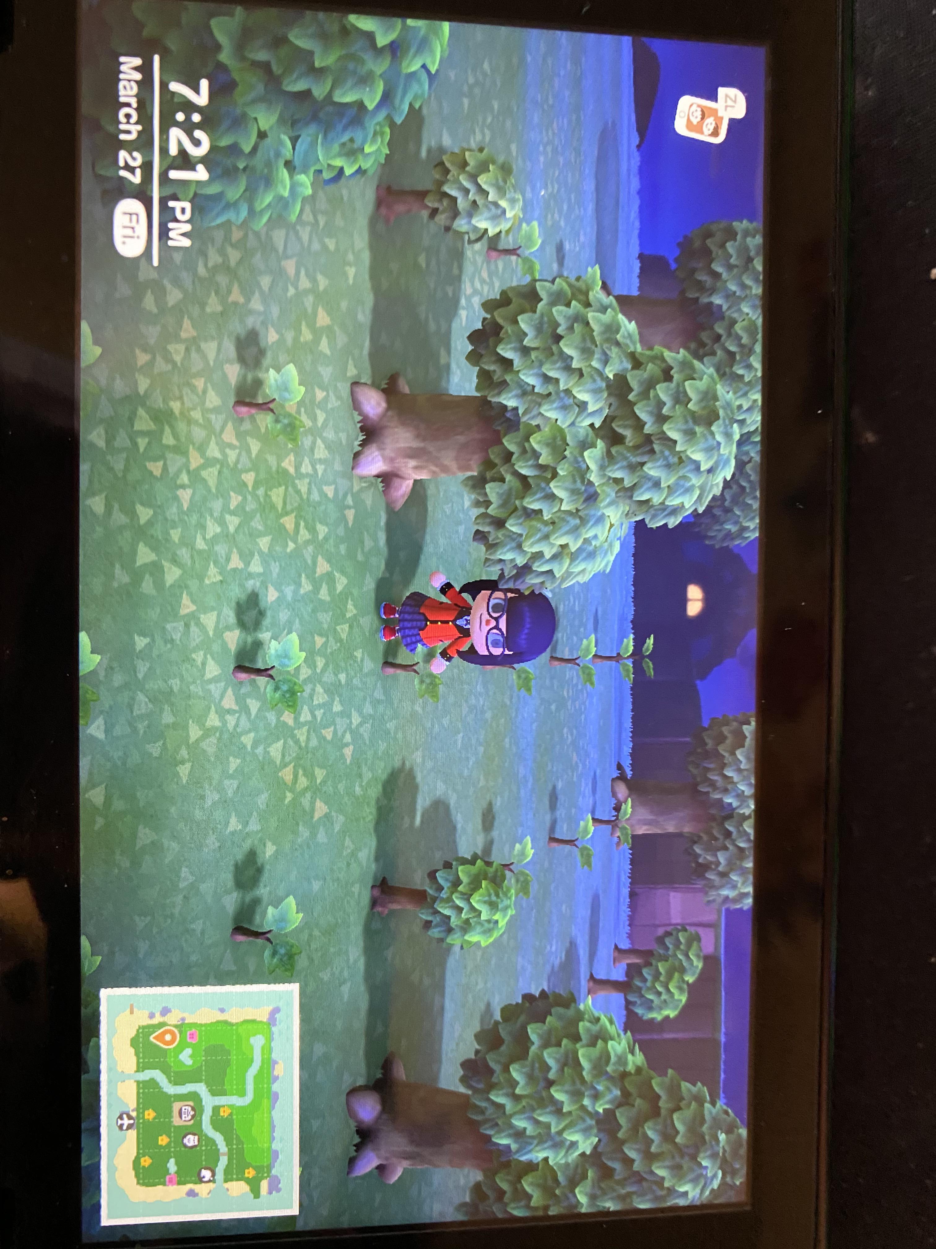 Acnh trees not growing