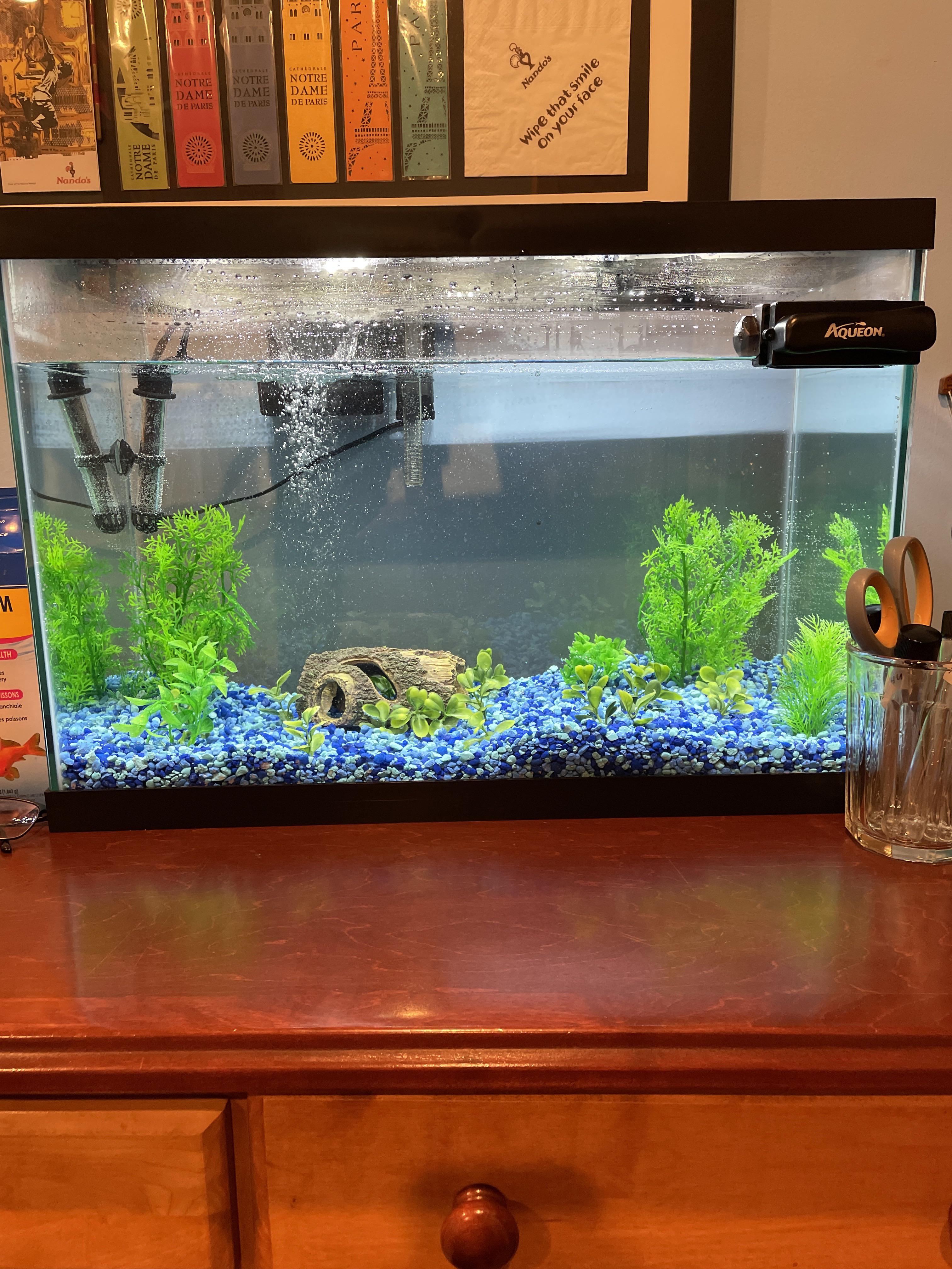 New fish tank! Fish are coming on Tuesday! r/Aquariums