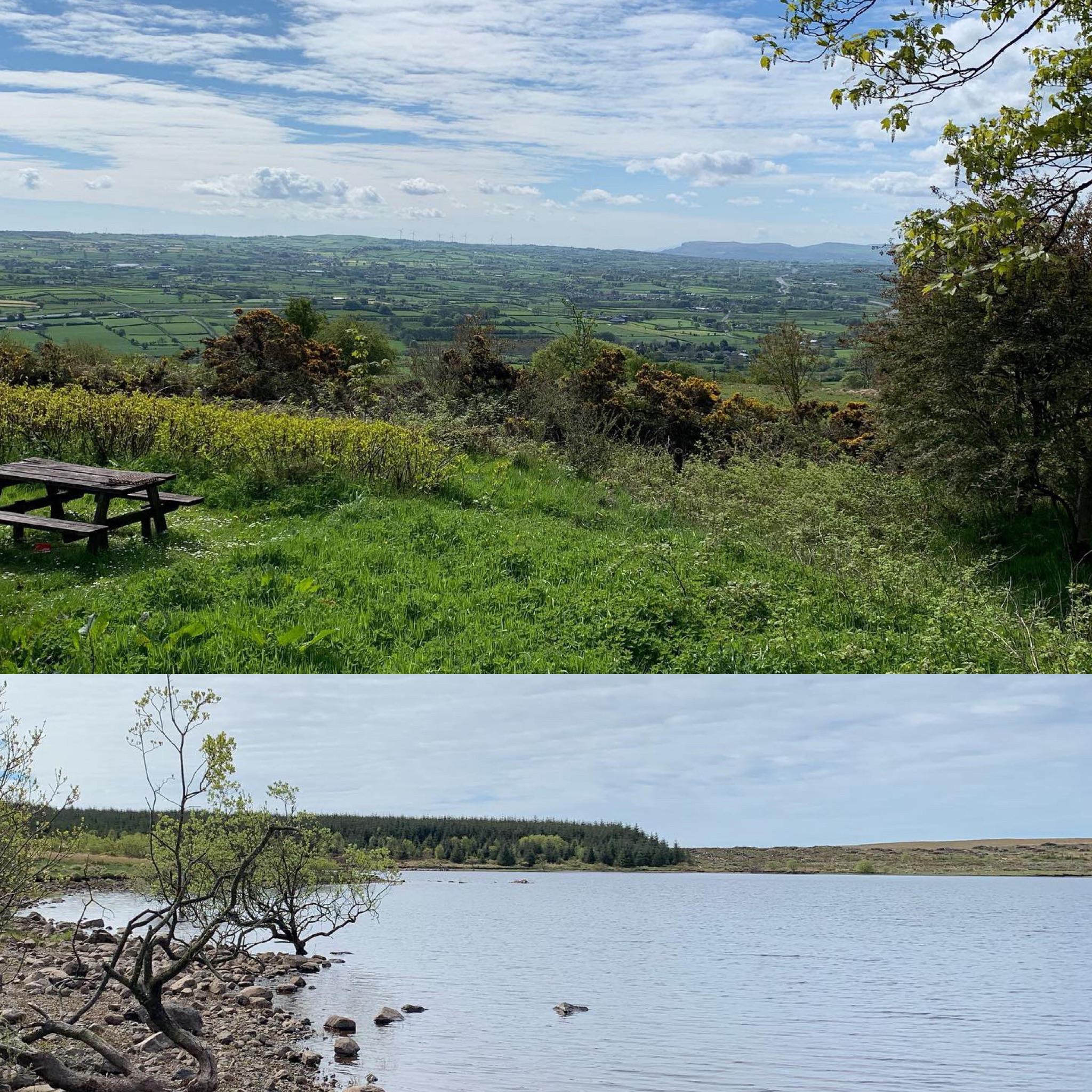 Ballyboley Forest and Killylane reservoir r/northernireland