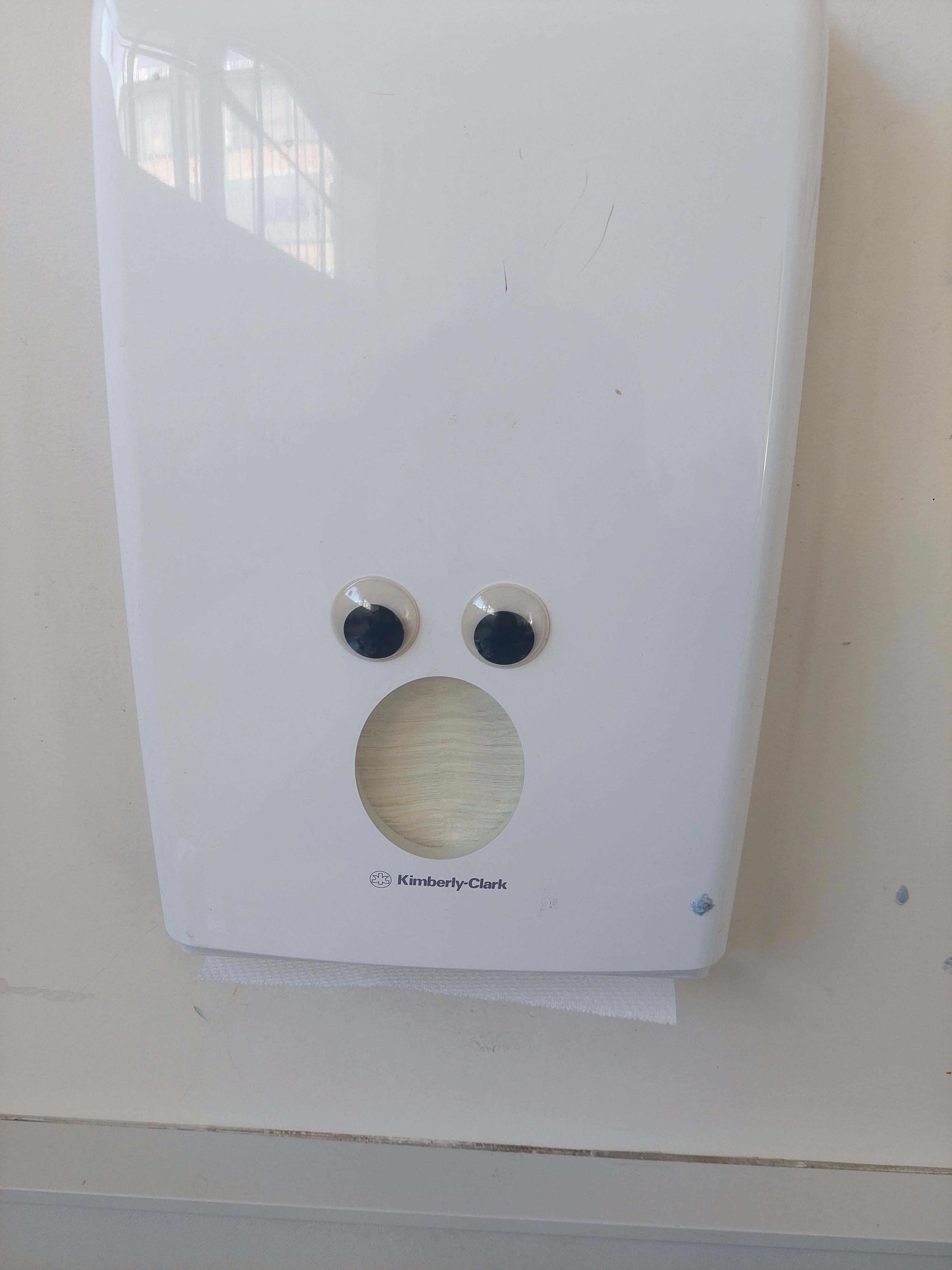 This paper towel dispenser looks surprised. : r/GooglyEyes