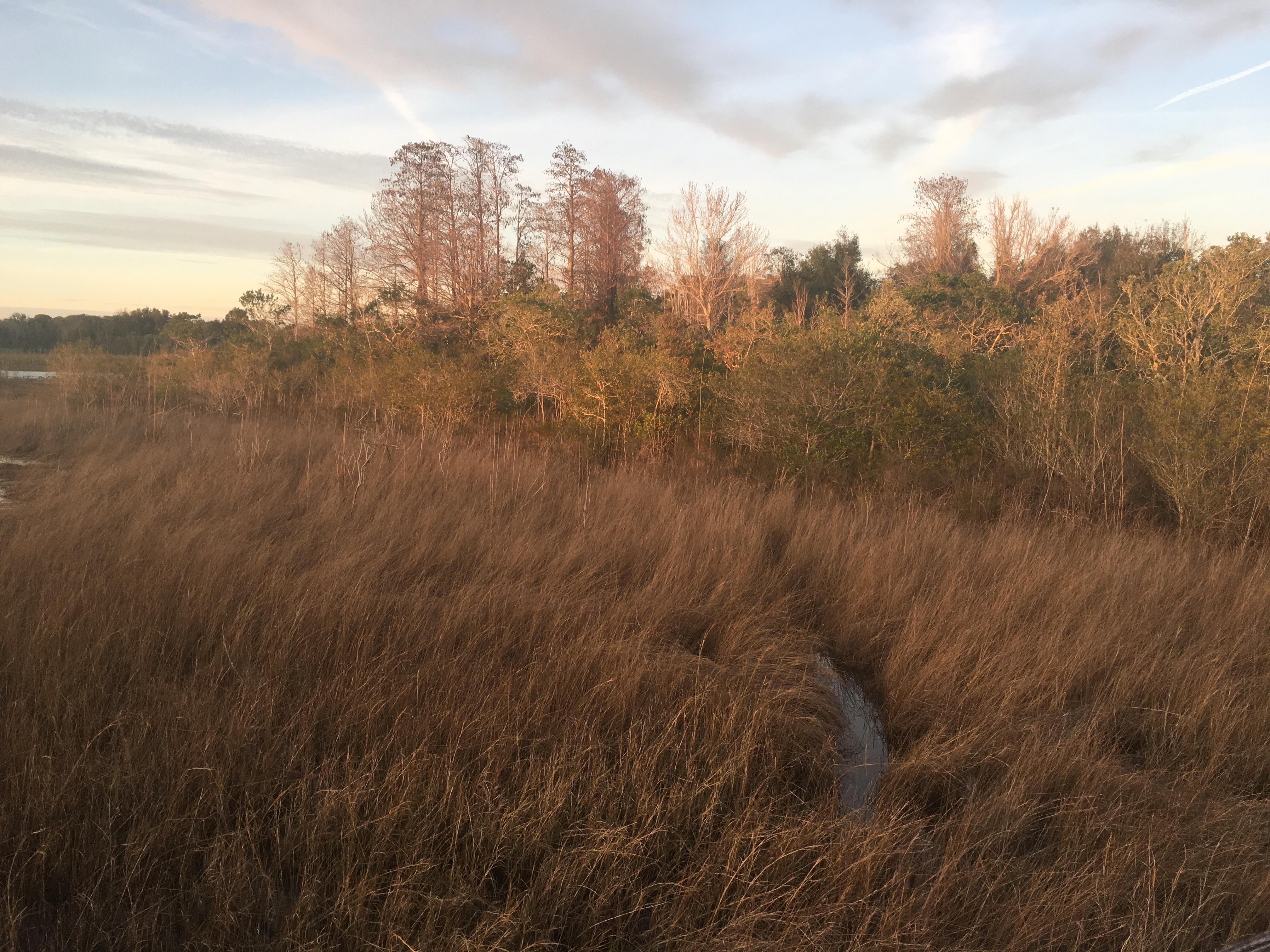 Lake Chautauqua Park Clearwater, Florida [OC] [3264x2448] r/EarthPorn