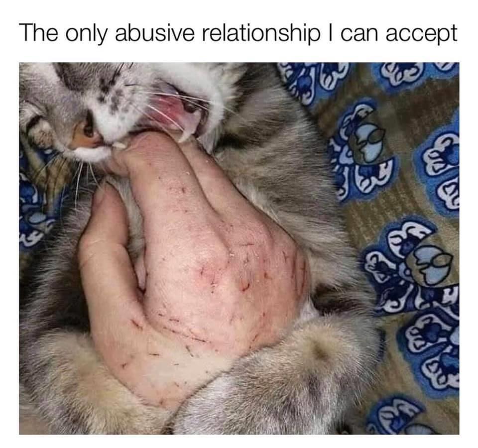 Ignore the pain r/memes