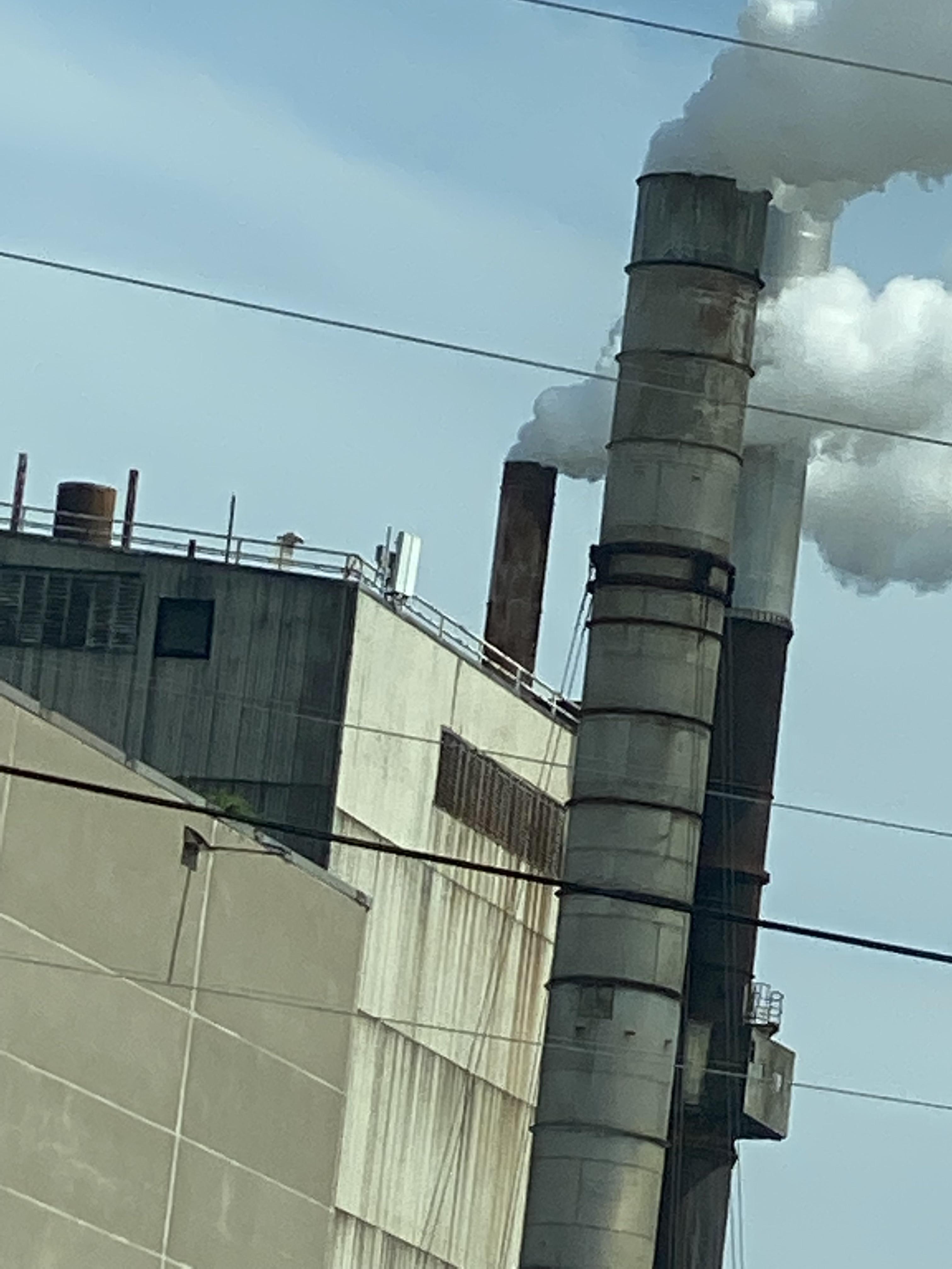 Who’s this? Located on top of the woodland paper mill in Baileyville