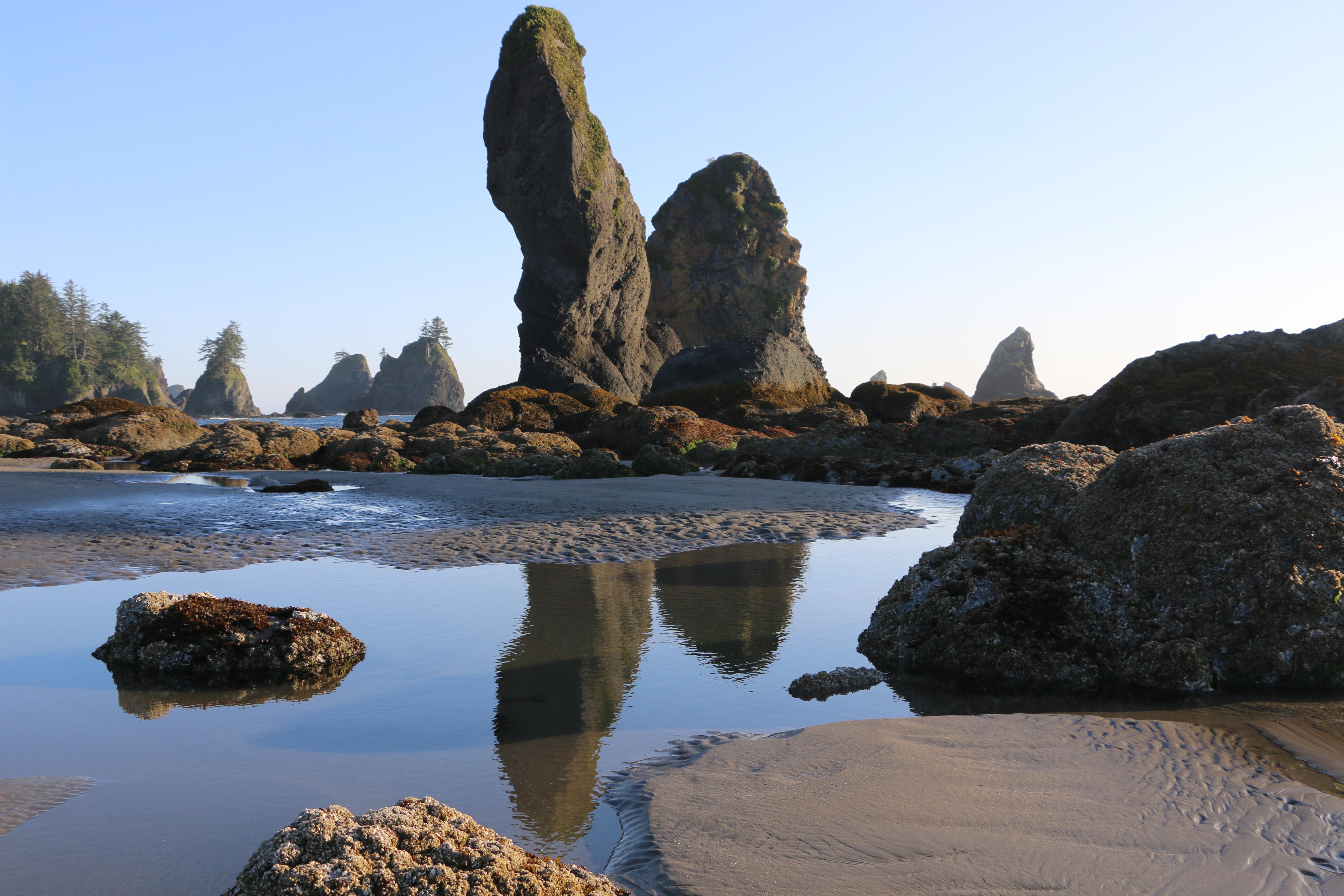 Shi shi beach, pacific coast WA Eocene conglomerates and breccias at