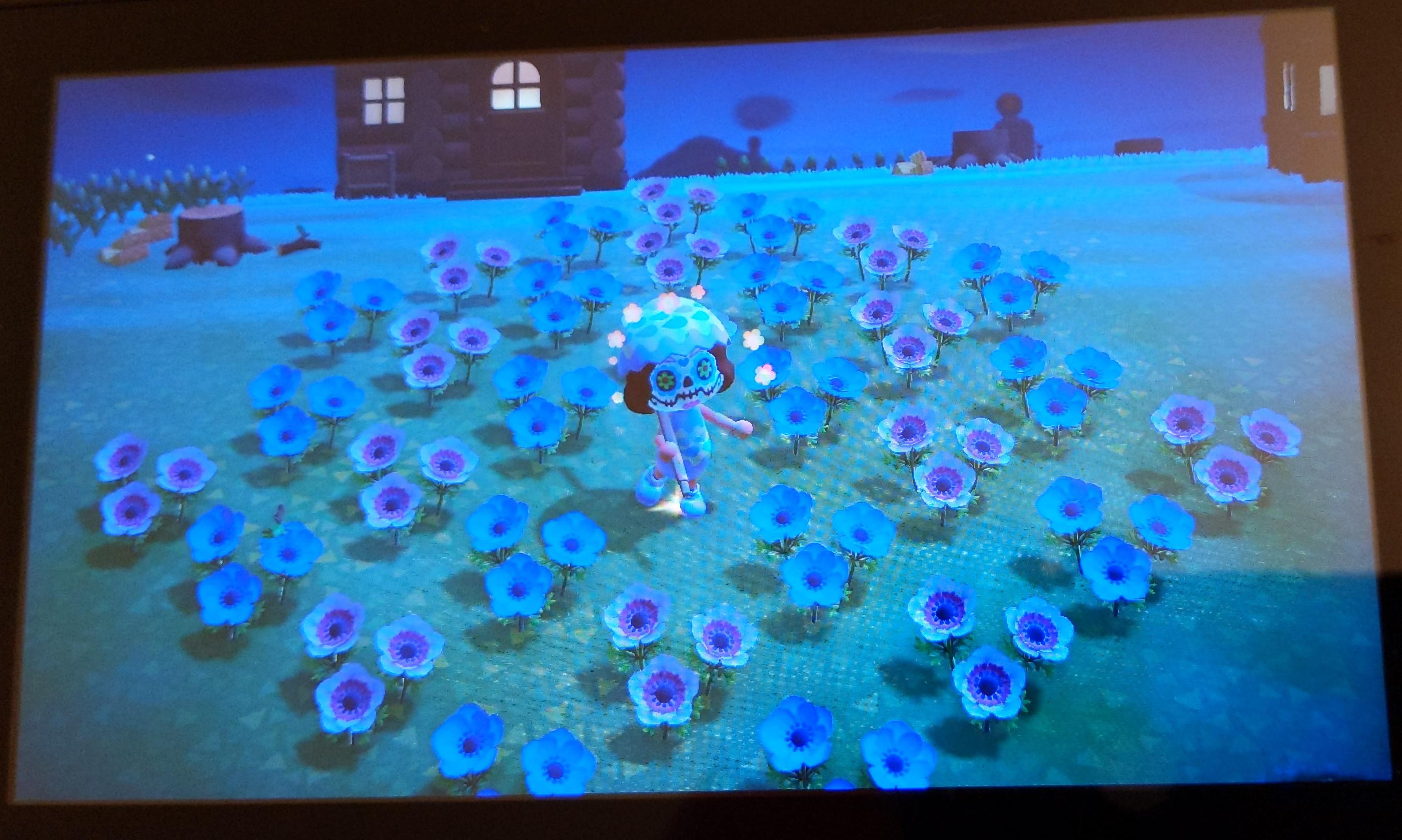 I finally got a rare flower island! I am going to make bank tomorrow