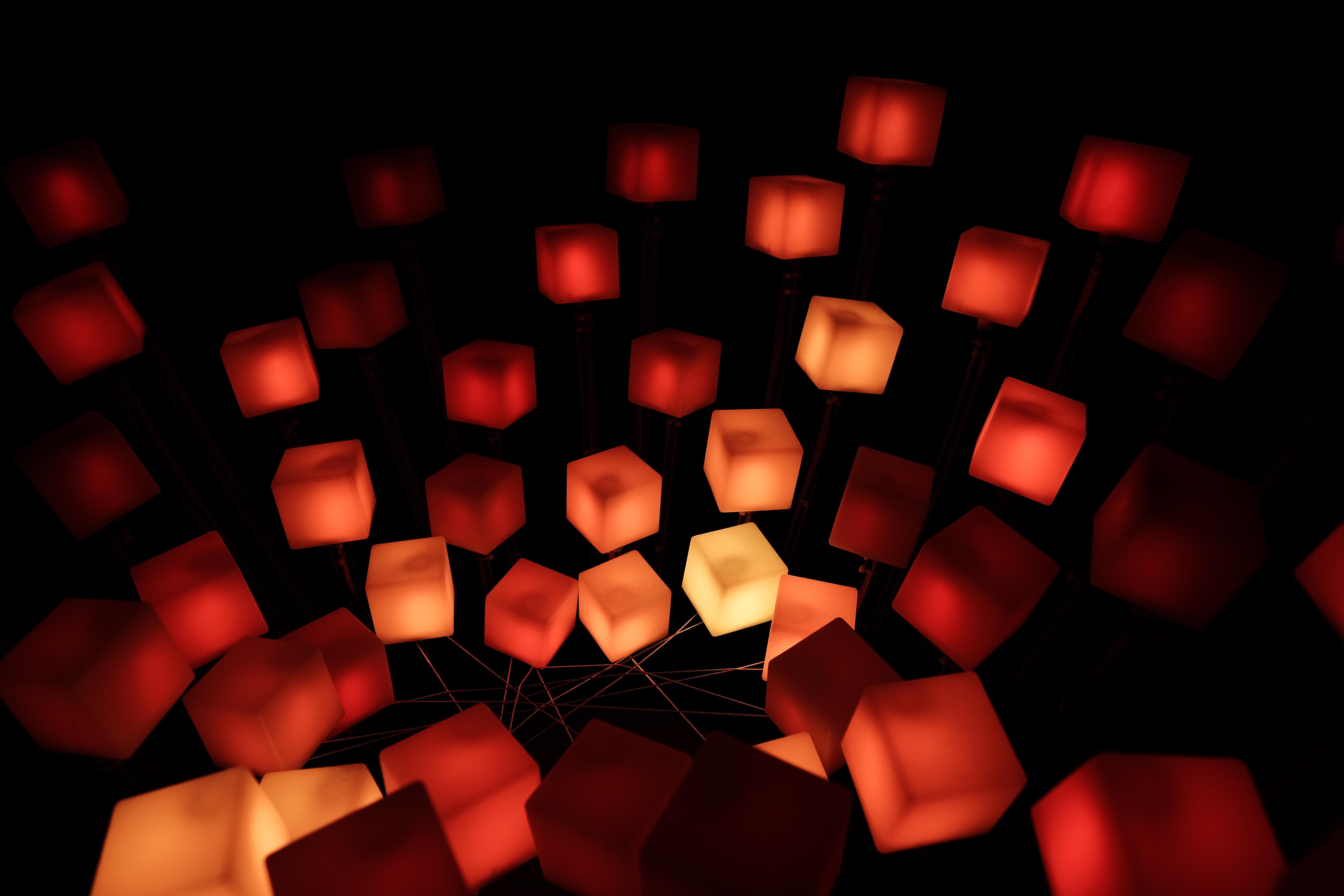 Lights Golden Gate Park r/bayarea