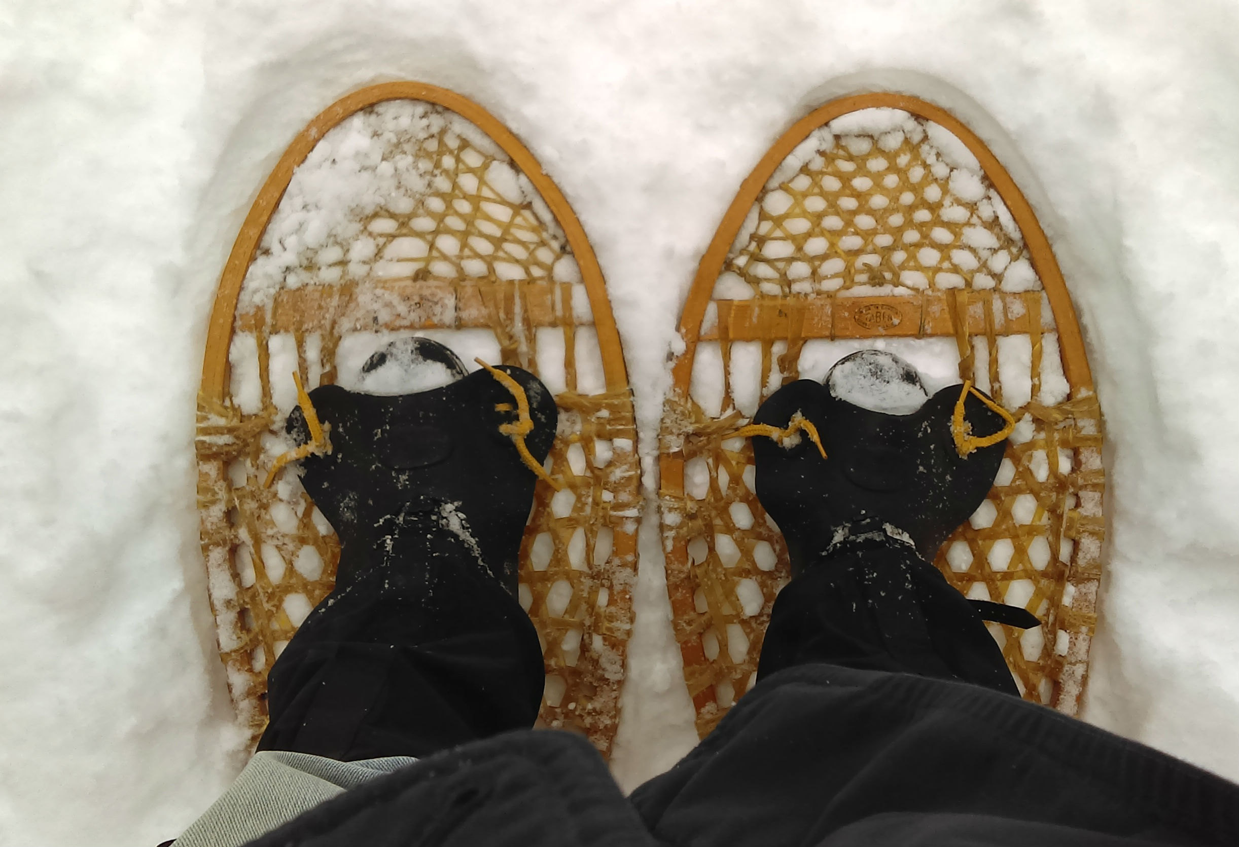 A great way to spend the last day of the year. r/snowshoeing