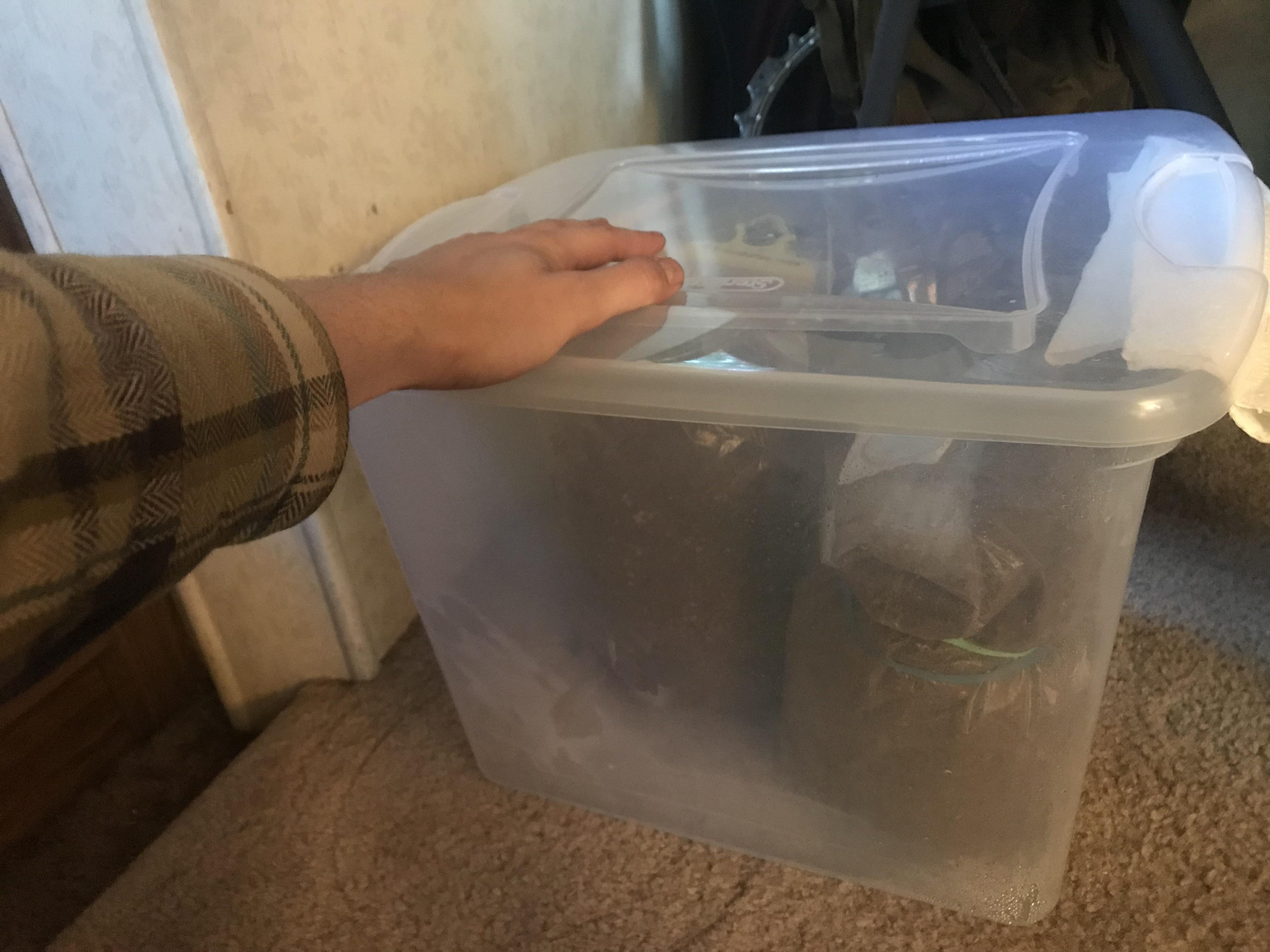 I have 3 lbs of cubensis grain spawn. How much substrate should I use