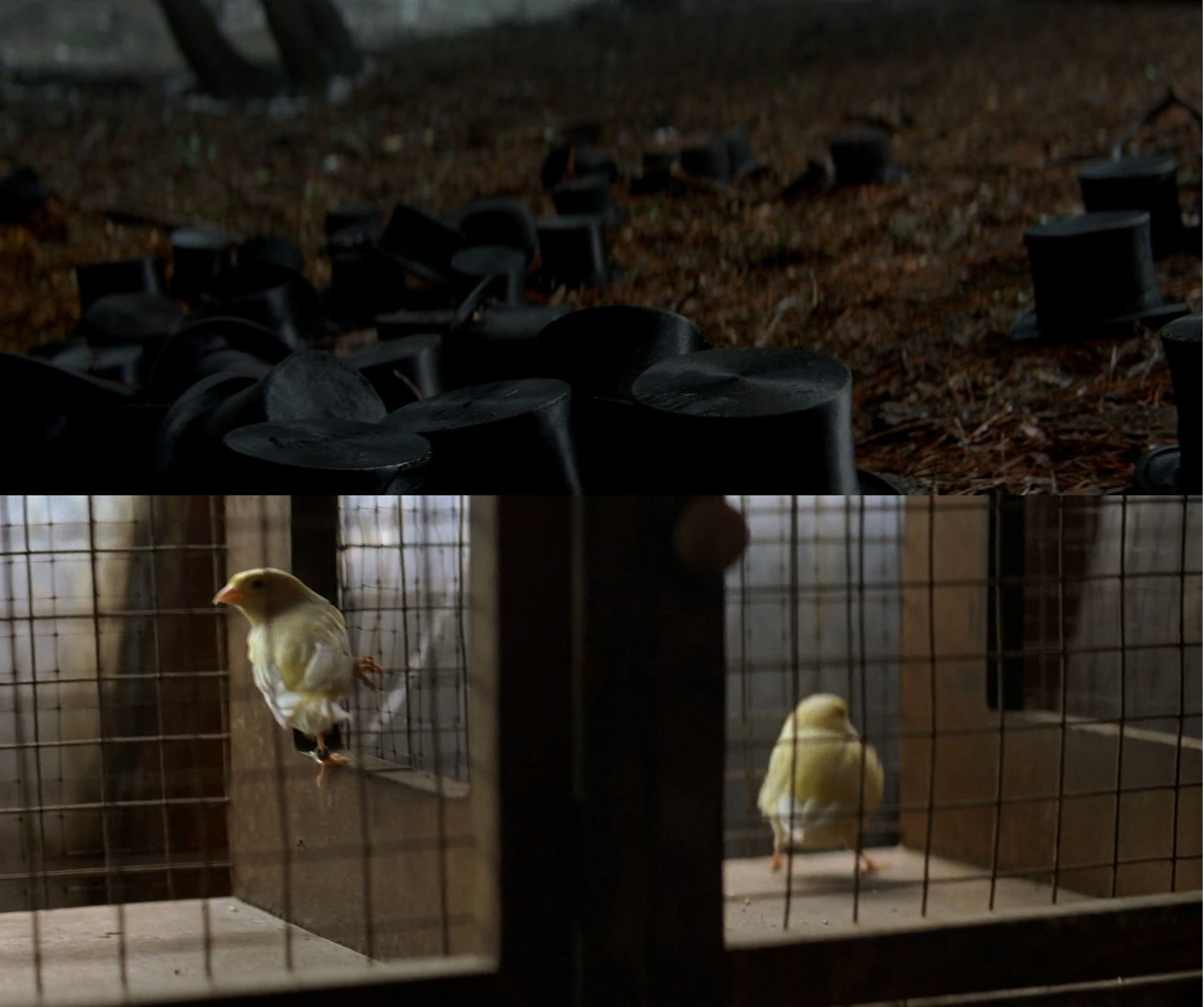 In The Prestige, the opening shot is of identical copies of Angier's