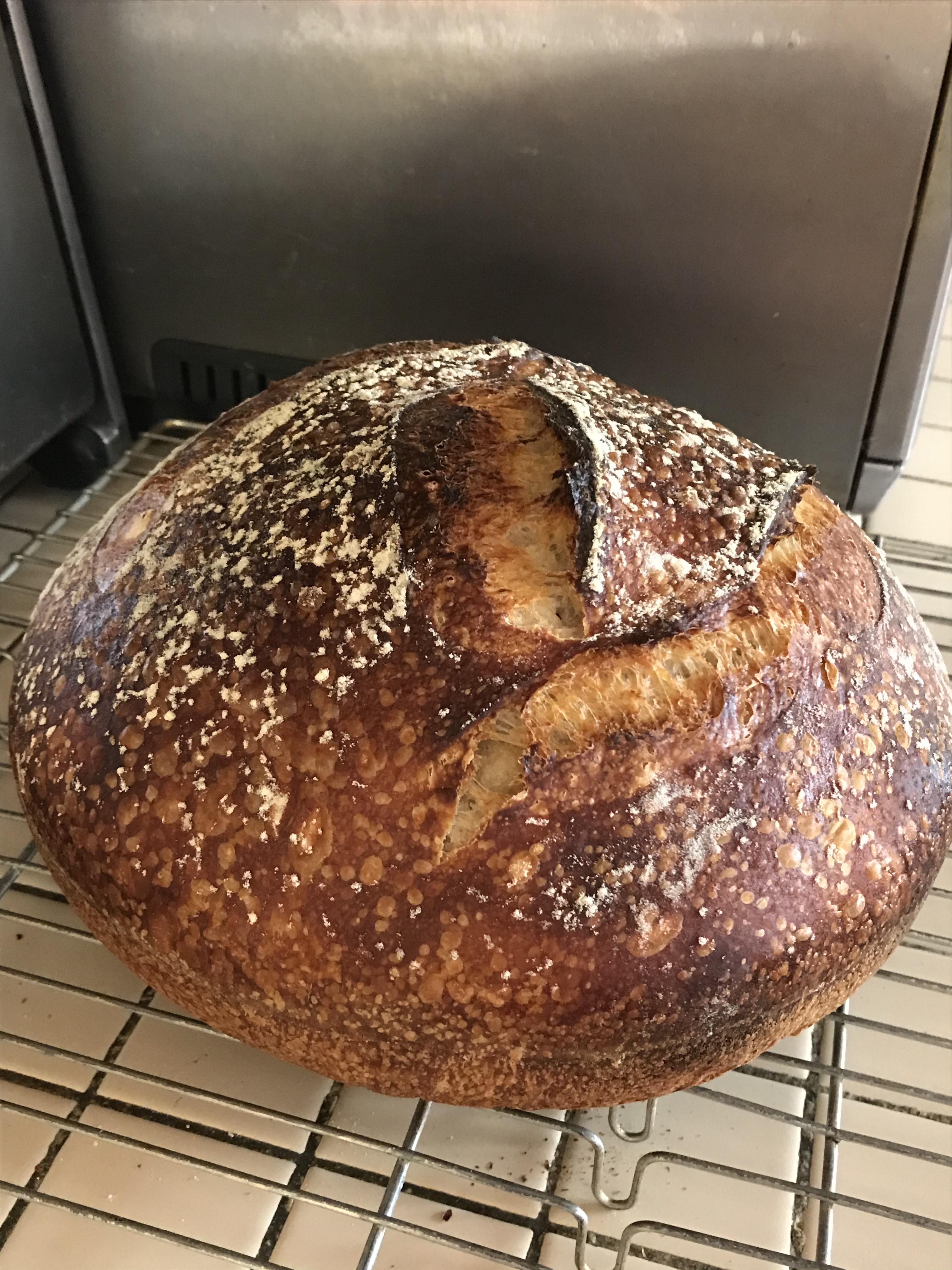 My first no knead/Dutch oven sourdough. r/Breadit