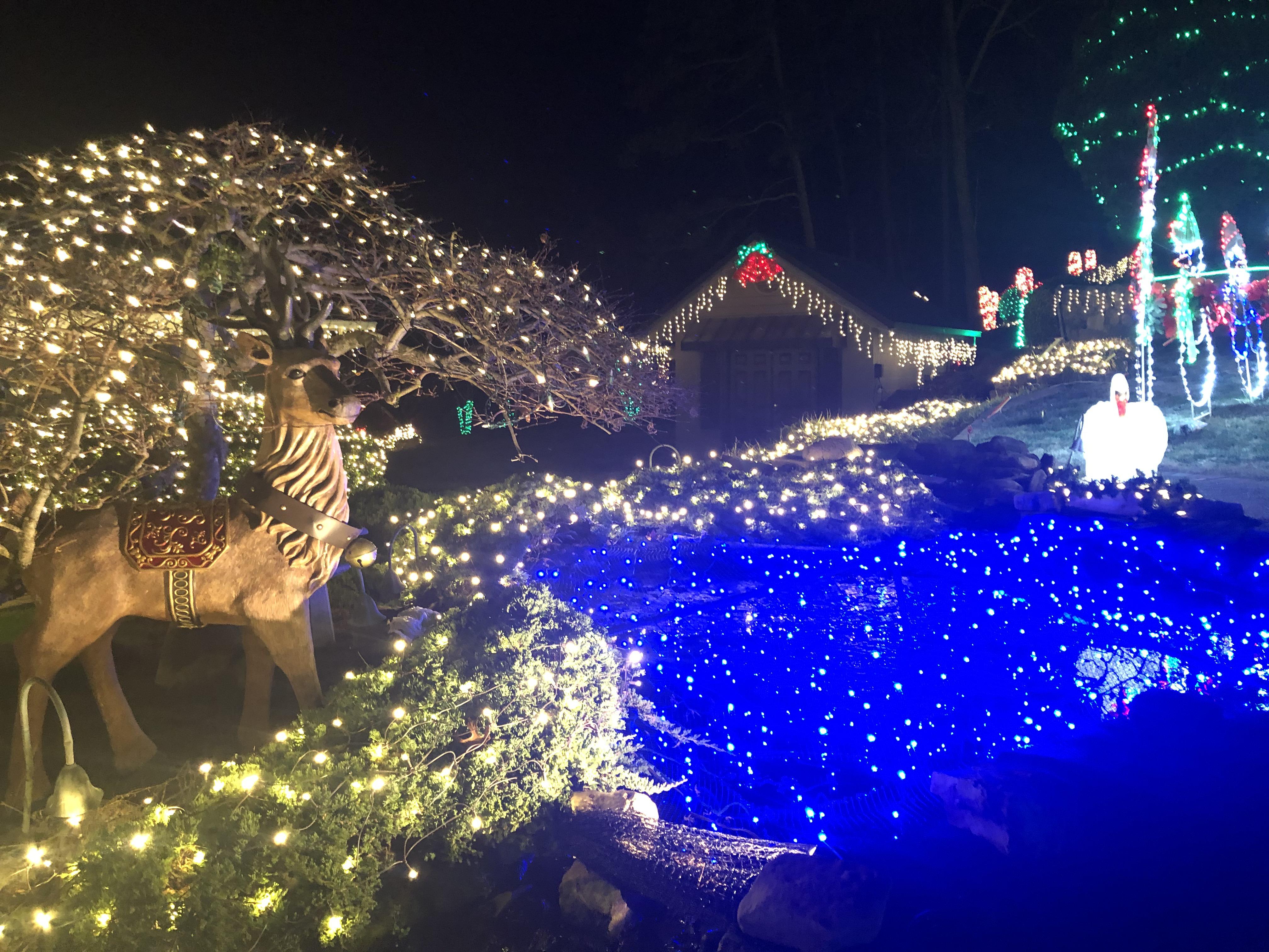 Go by Jason Drive off Fountain Ave to see a Christmas wonderland. Bring