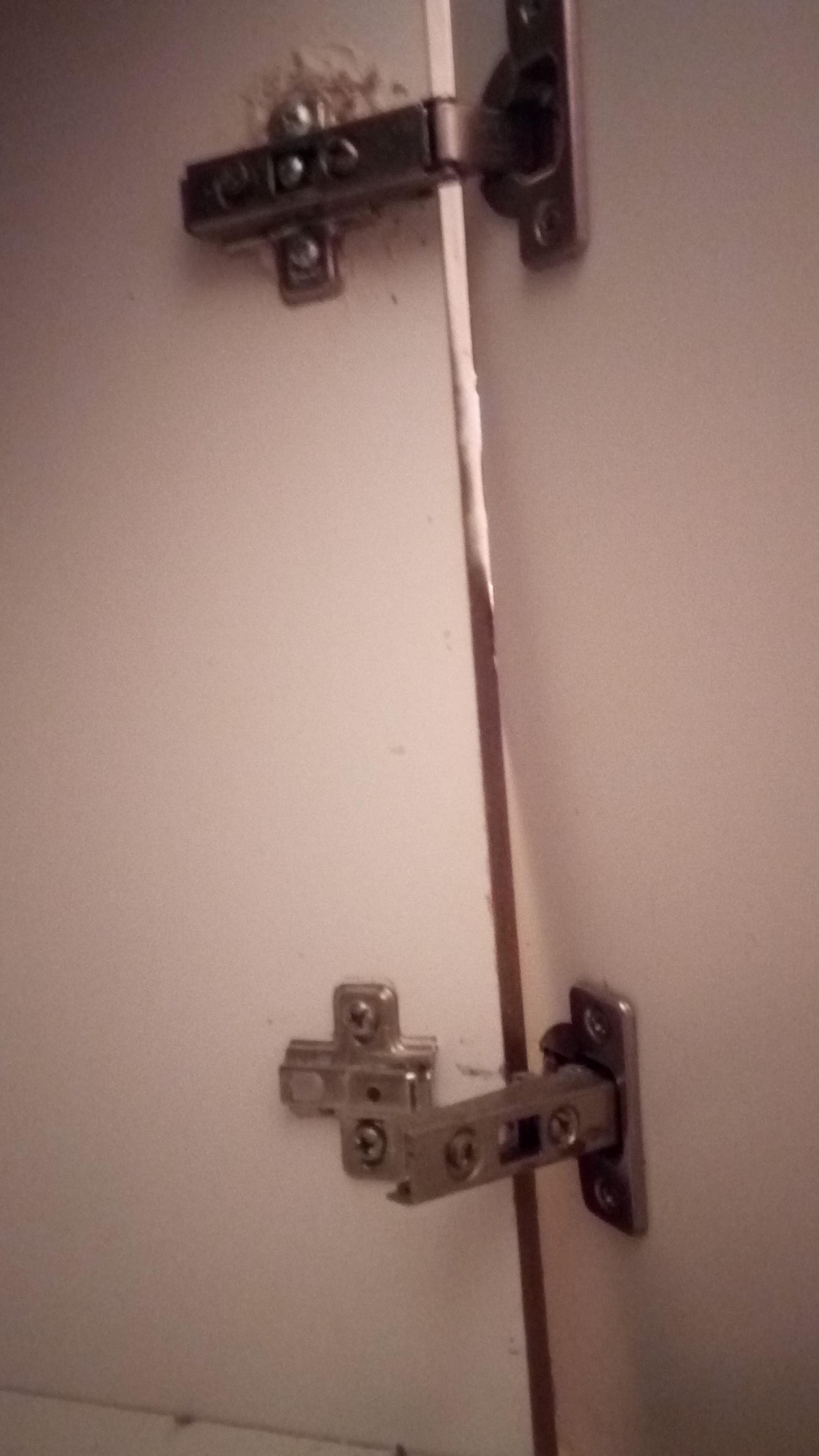 Bathroom hinge, do i just need a screw? r/fixit