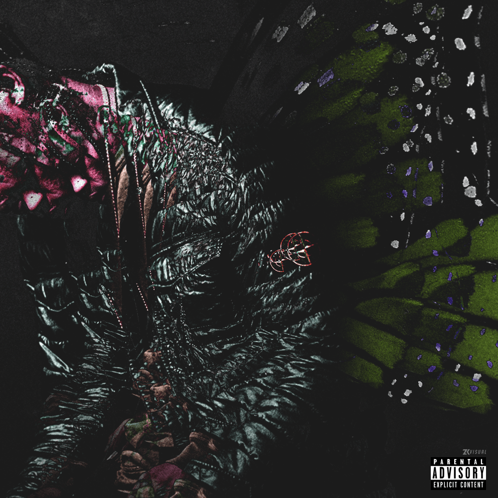 Travis Scott Butterfly Effect [1000x1000] r/freshalbumart