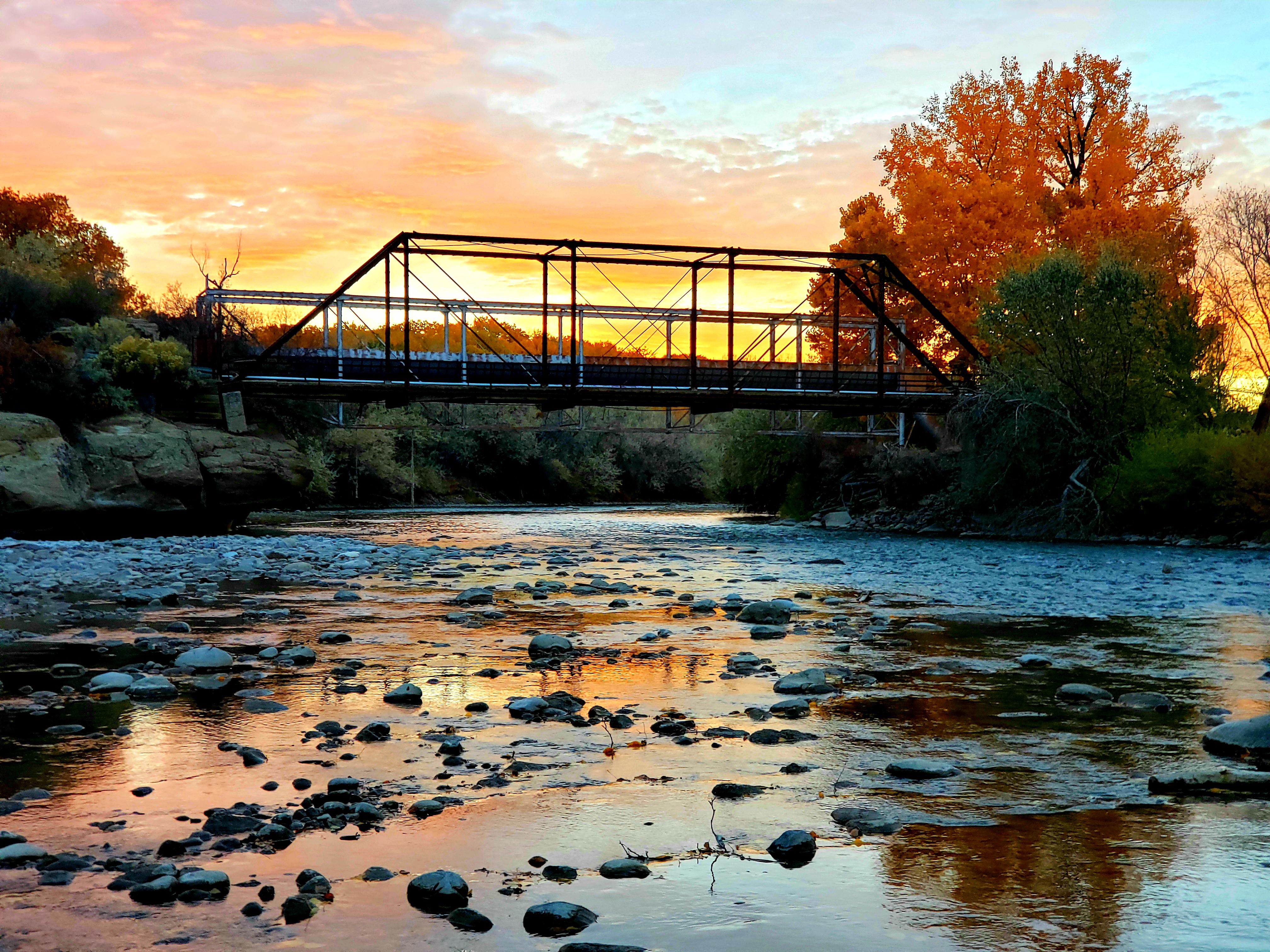The Animas River. r/NewMexico
