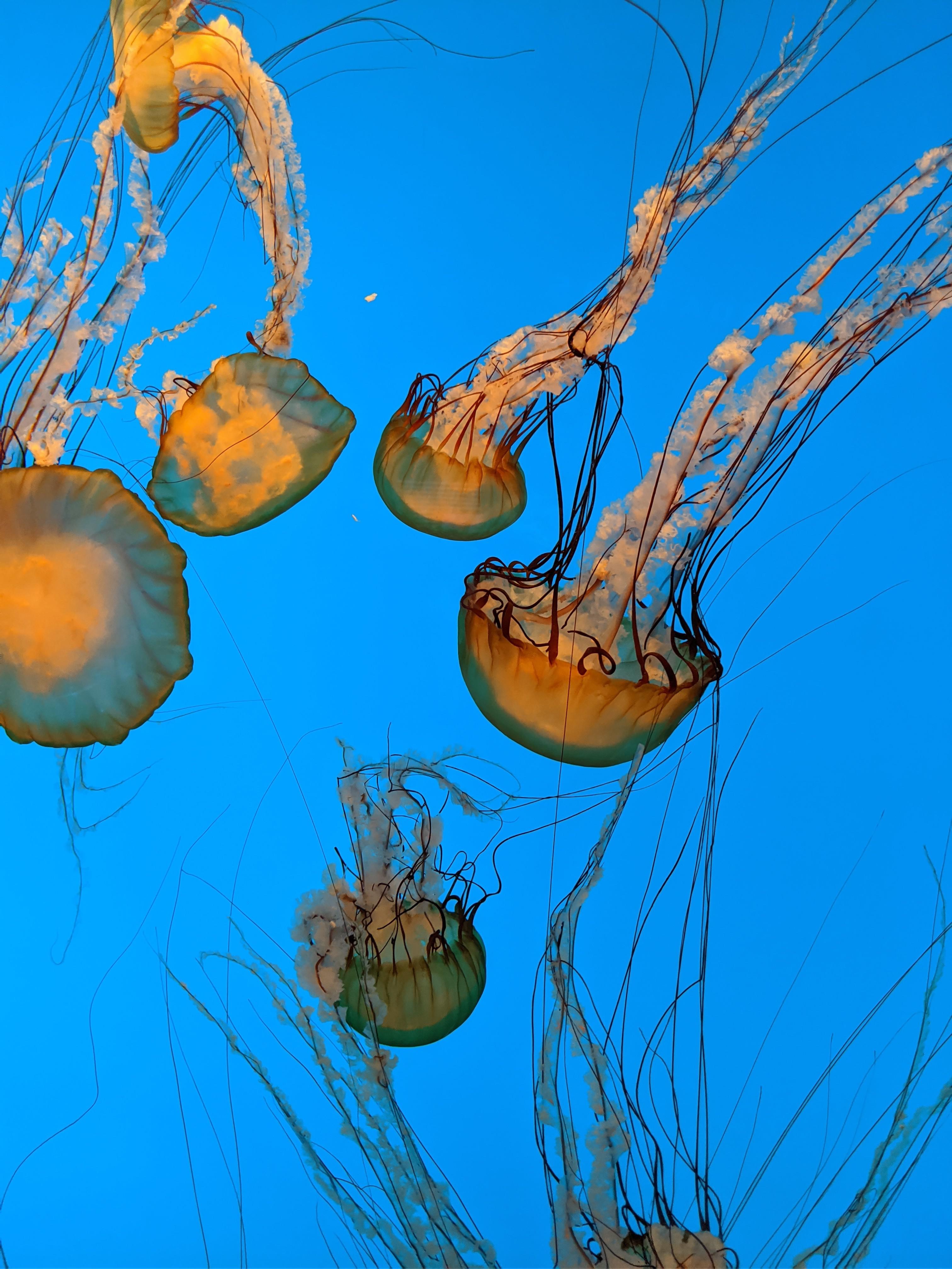 Baltimore National Aquarium, Pixel 3XL r/pixel_phones