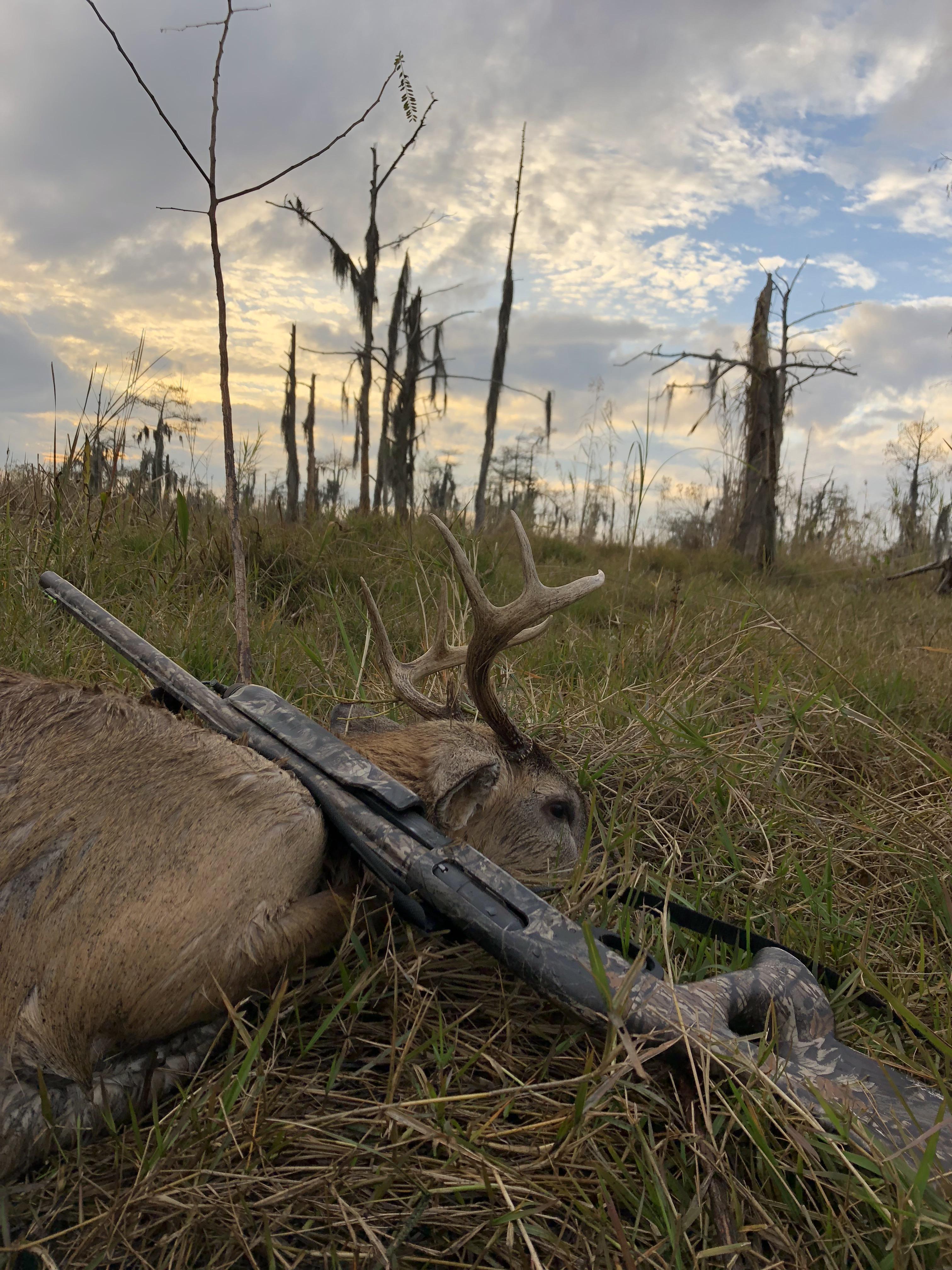 Not my biggest, but first LA swamp buck in years. Couldn’t be happier