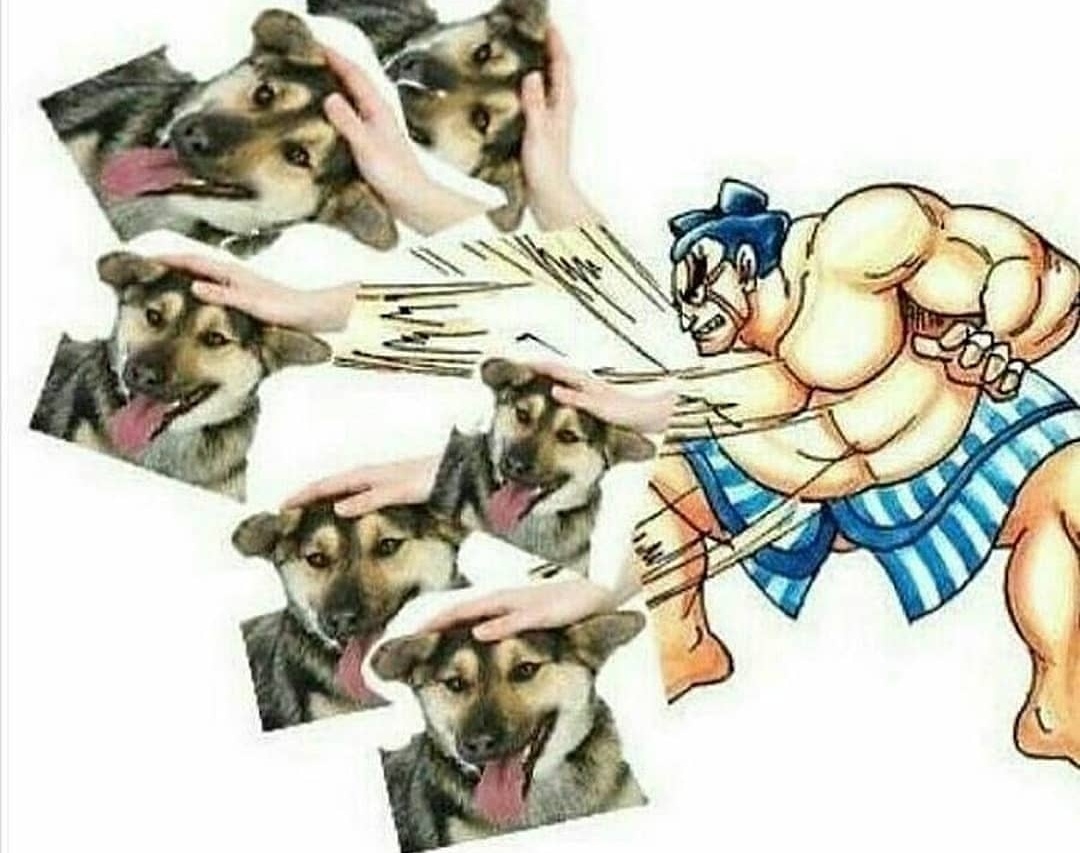 When you visit a pet adoption centre r/PewdiepieSubmissions