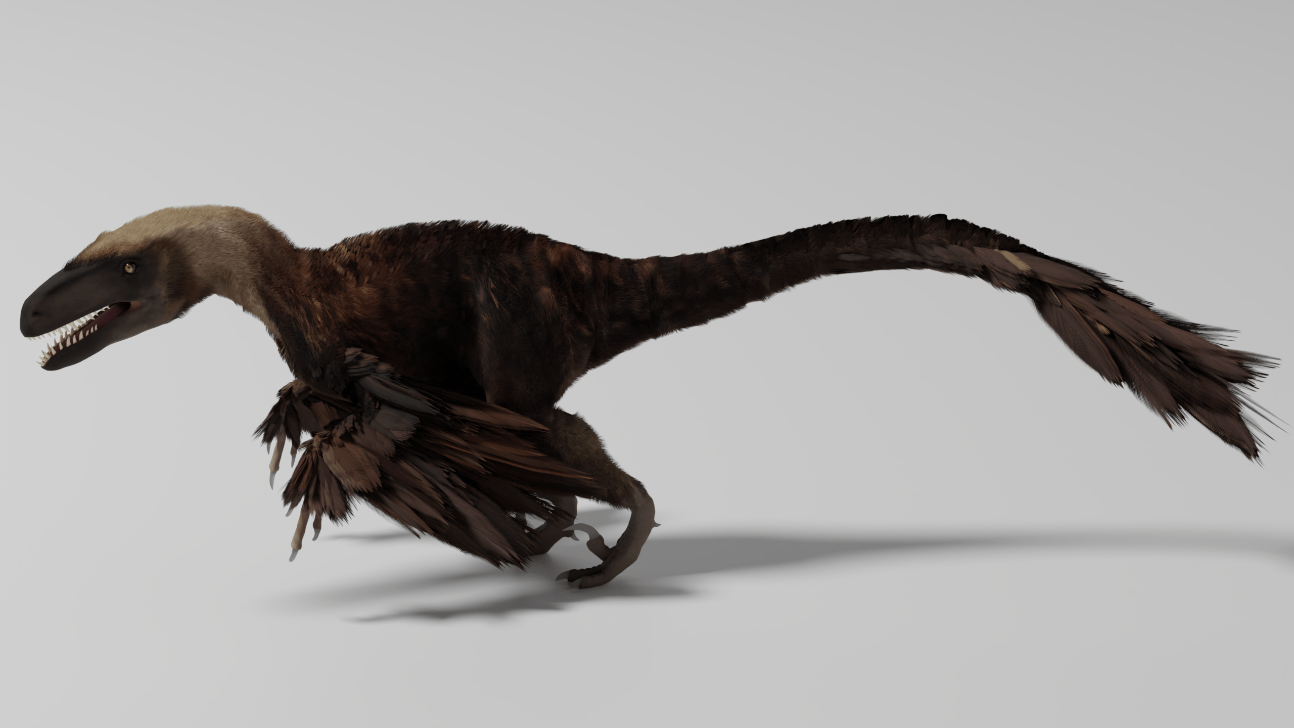 Utahraptor with particle feathers r/blender