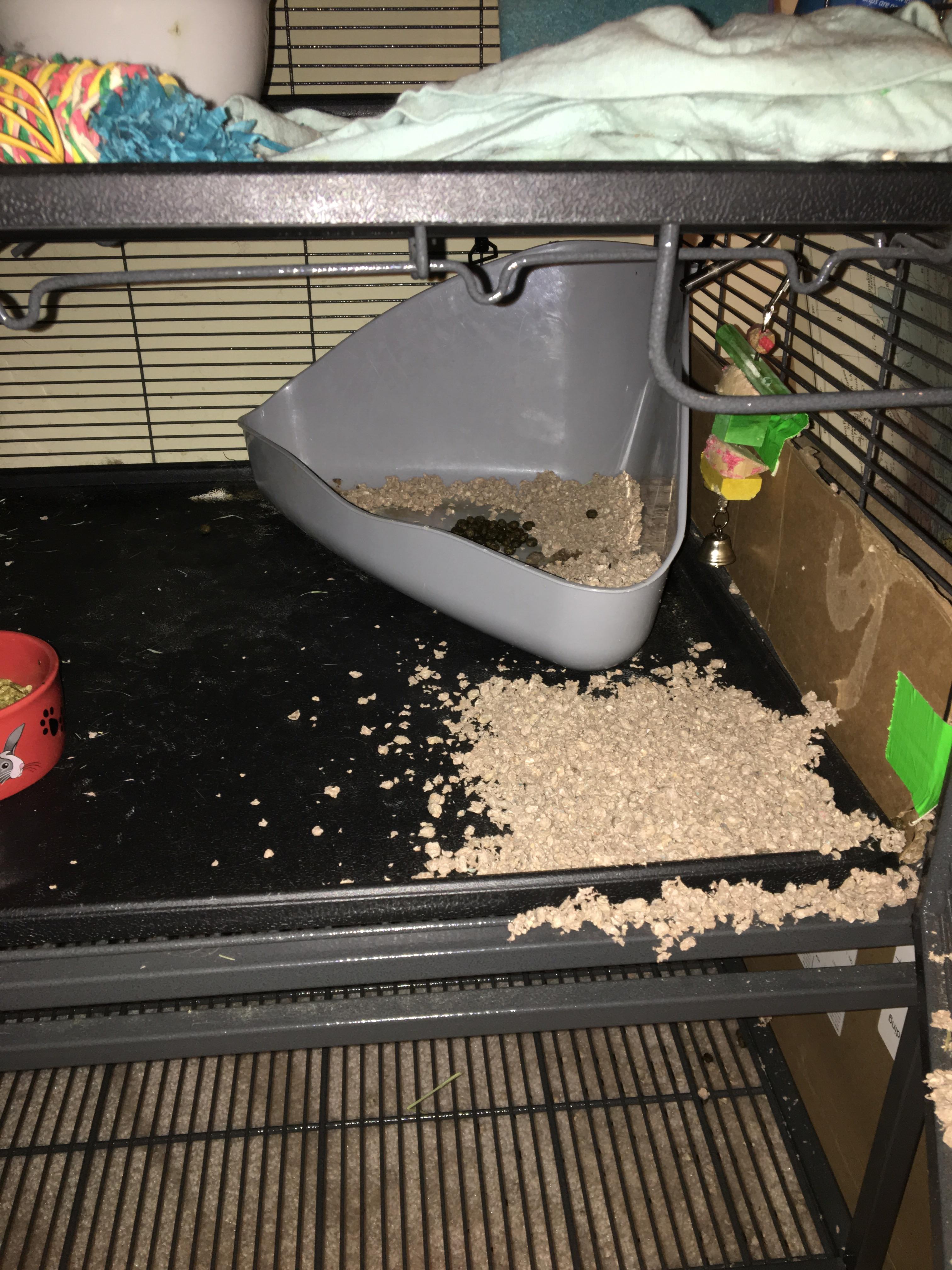 I saw yesterday's post about putting the litter box in a bin to make