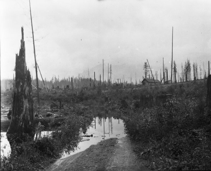 "The town of Moncton, Washington existed where Rattlesnake Lake is now