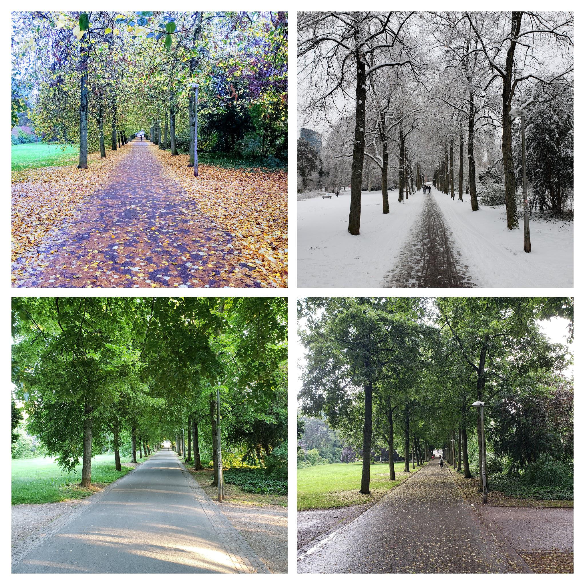 I took a photo from the same spot in all 4 seasons. [OC] r