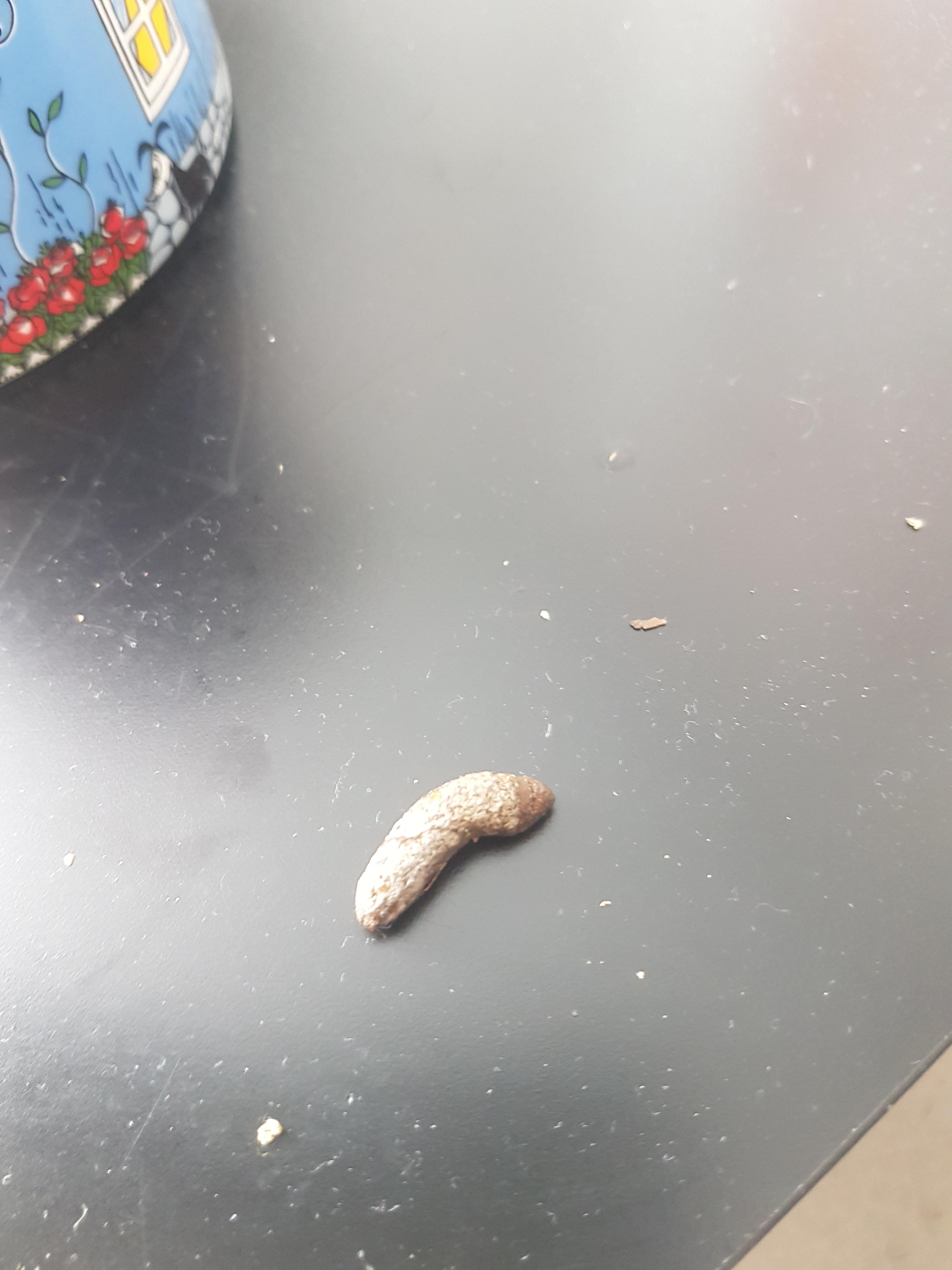 Is it normal that my rats poop has a White coat r/rat