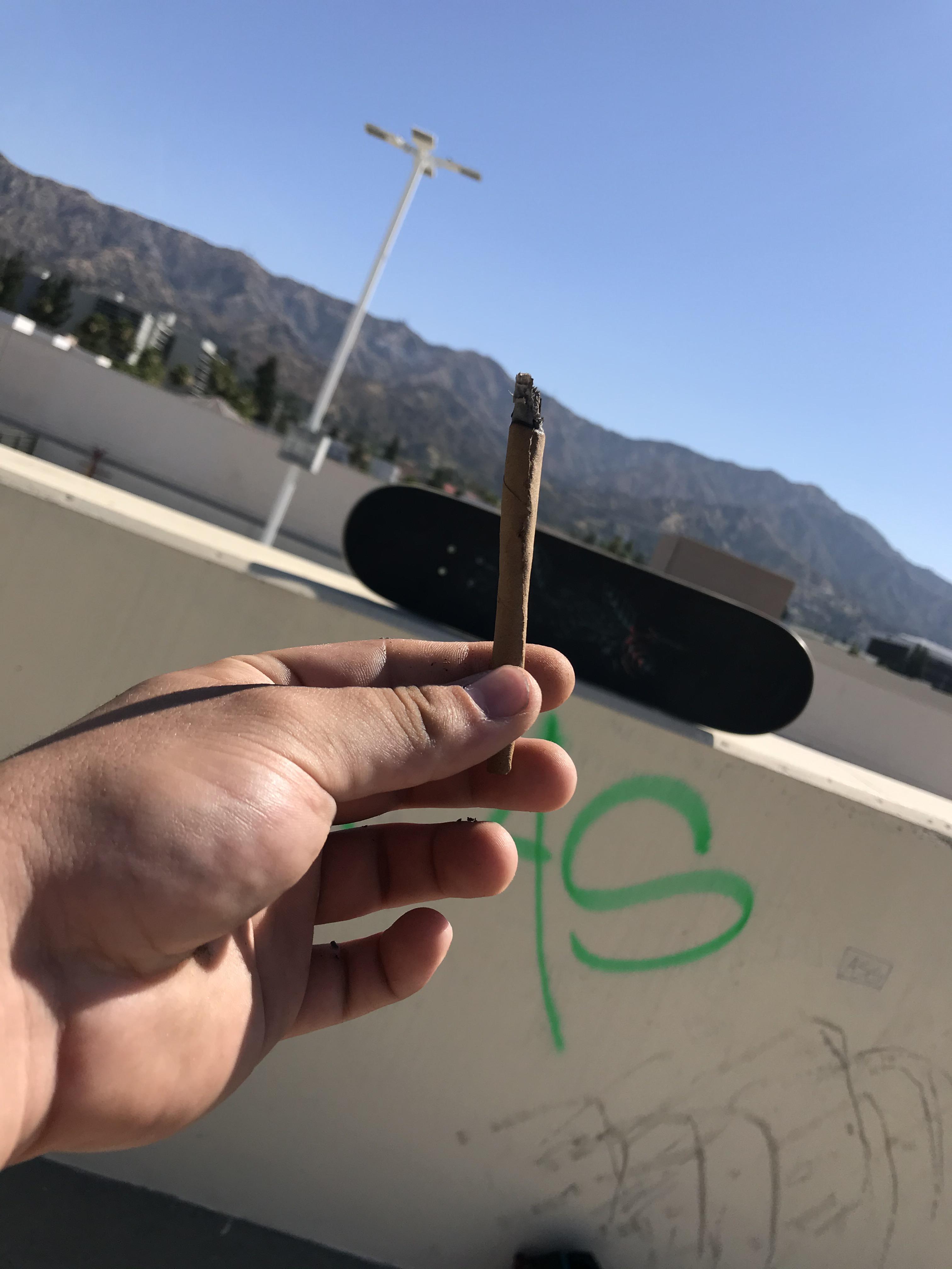 Skateboard smoke weed life so lonely r/TheLonelyStoner