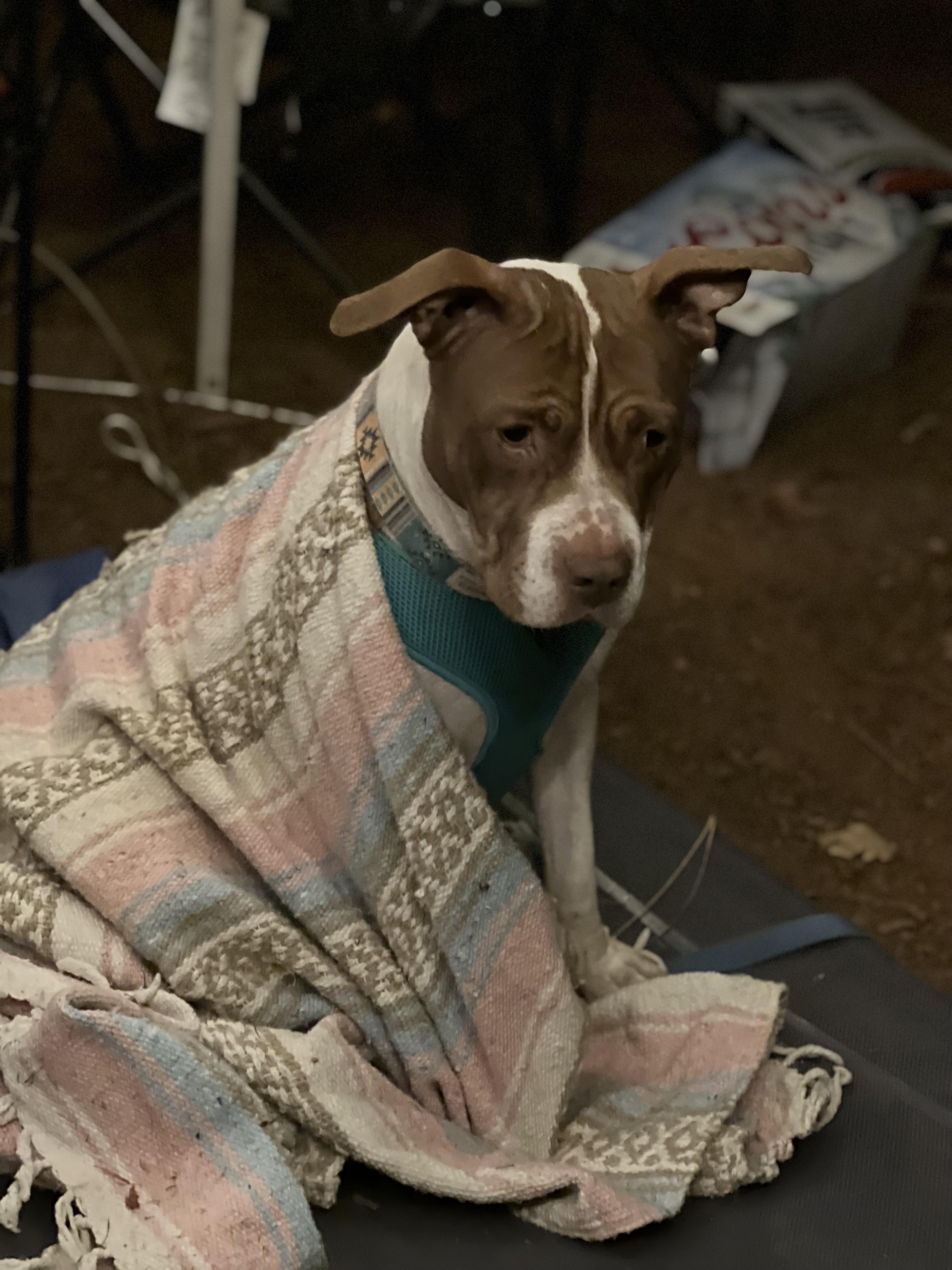 Camping with this angel over the fourth, I need to get her a sweater