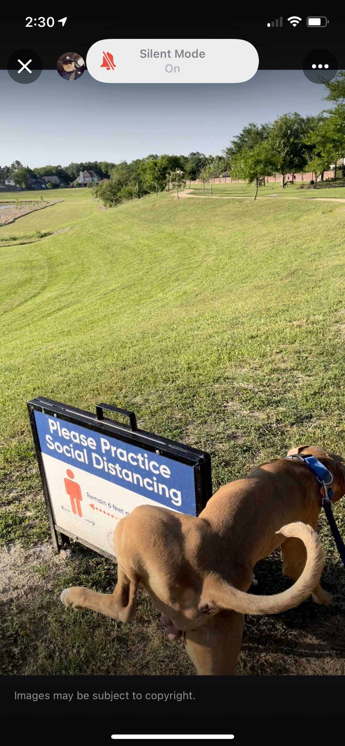 Was looking for jogging trails near my parents house. Don’t think I’ll