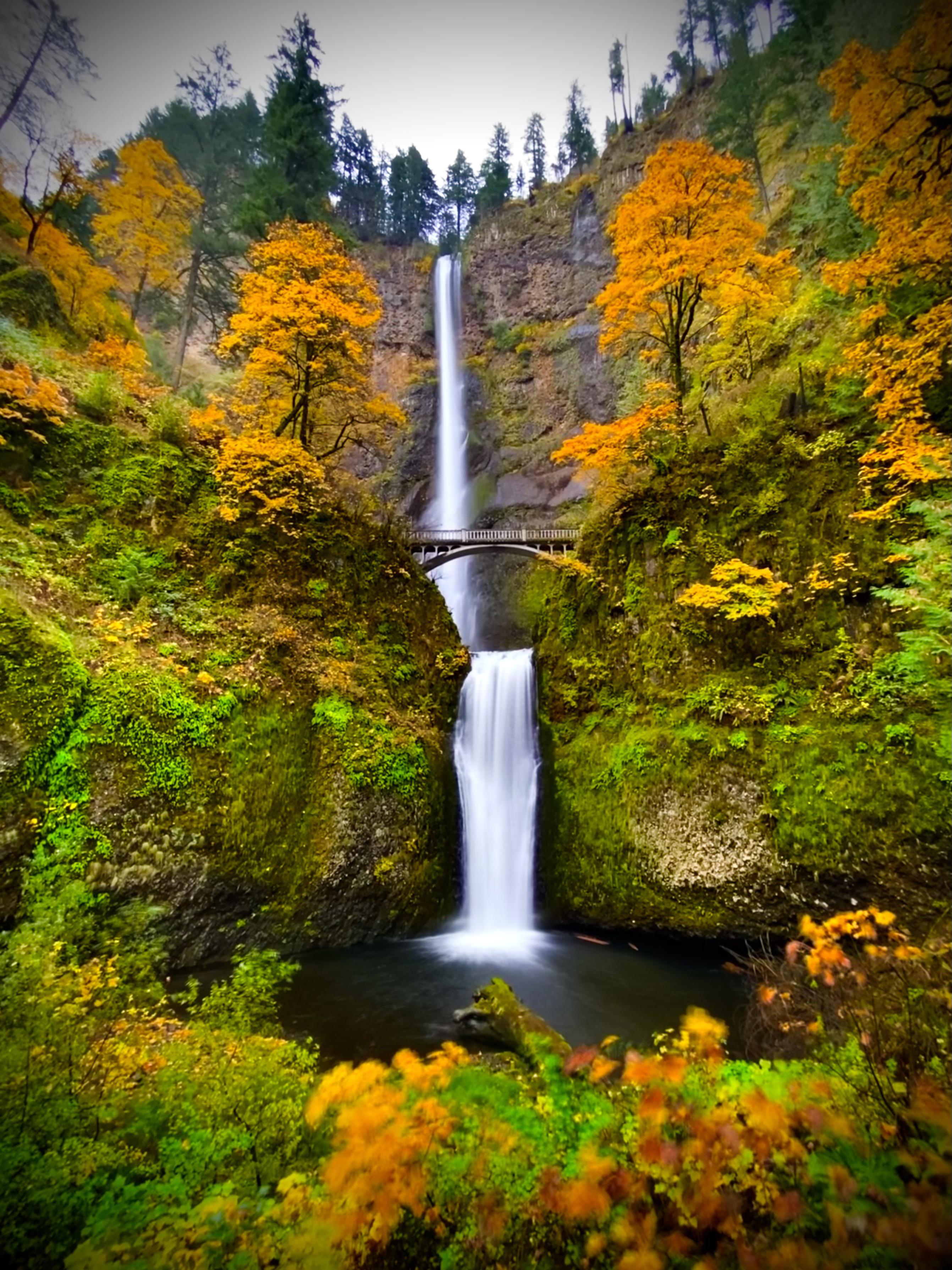 Multnomah Falls, just outside Portland, Oregon 🍂 r/Outdoors