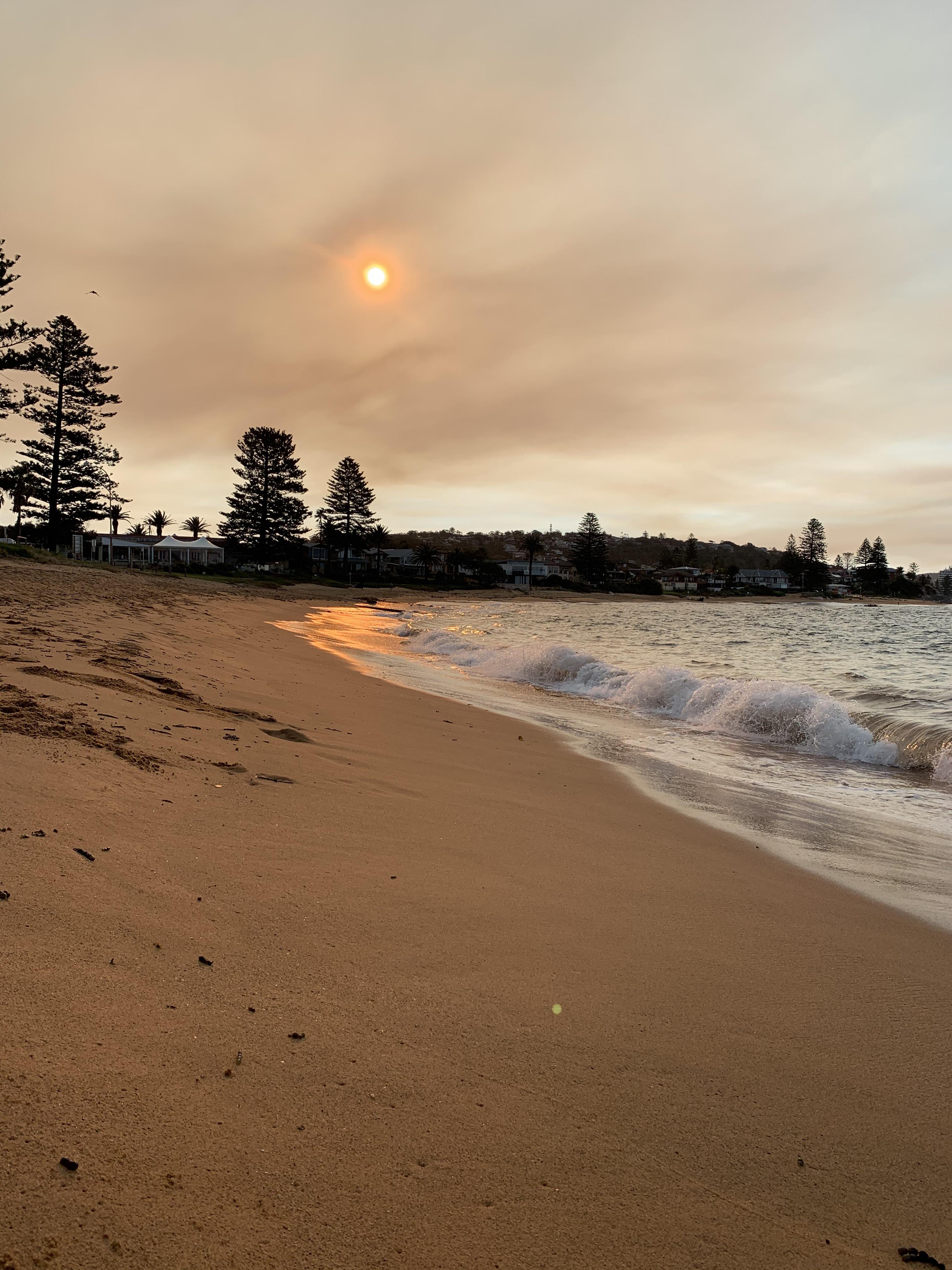 Today at Fishermans Bay r/sydney