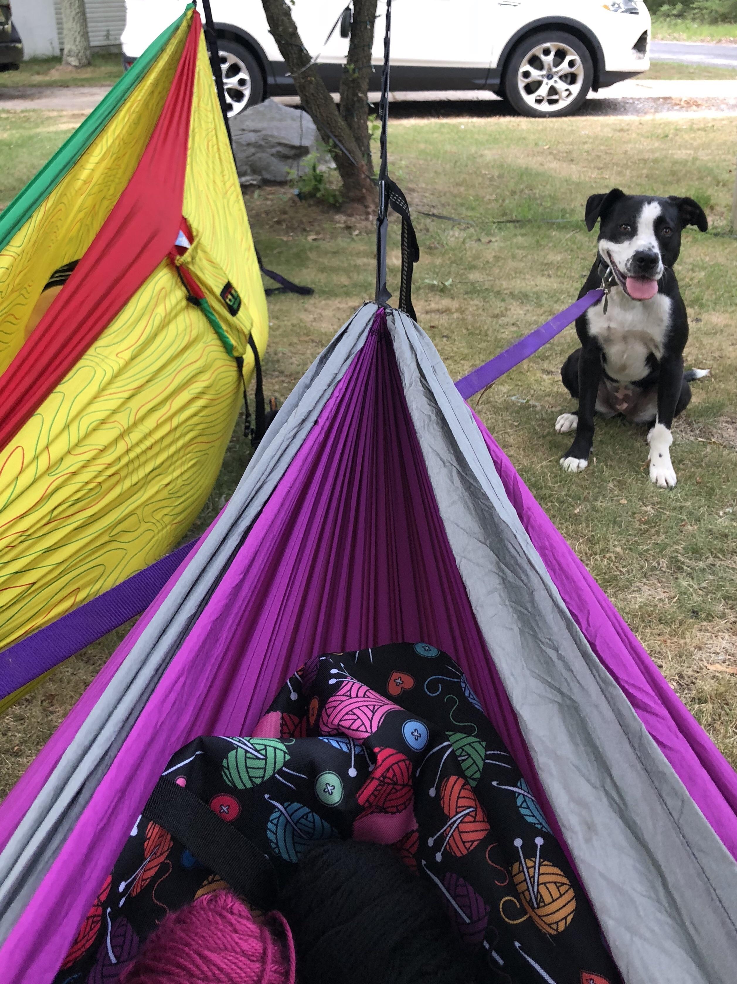 Trying out the hammocks r/camping