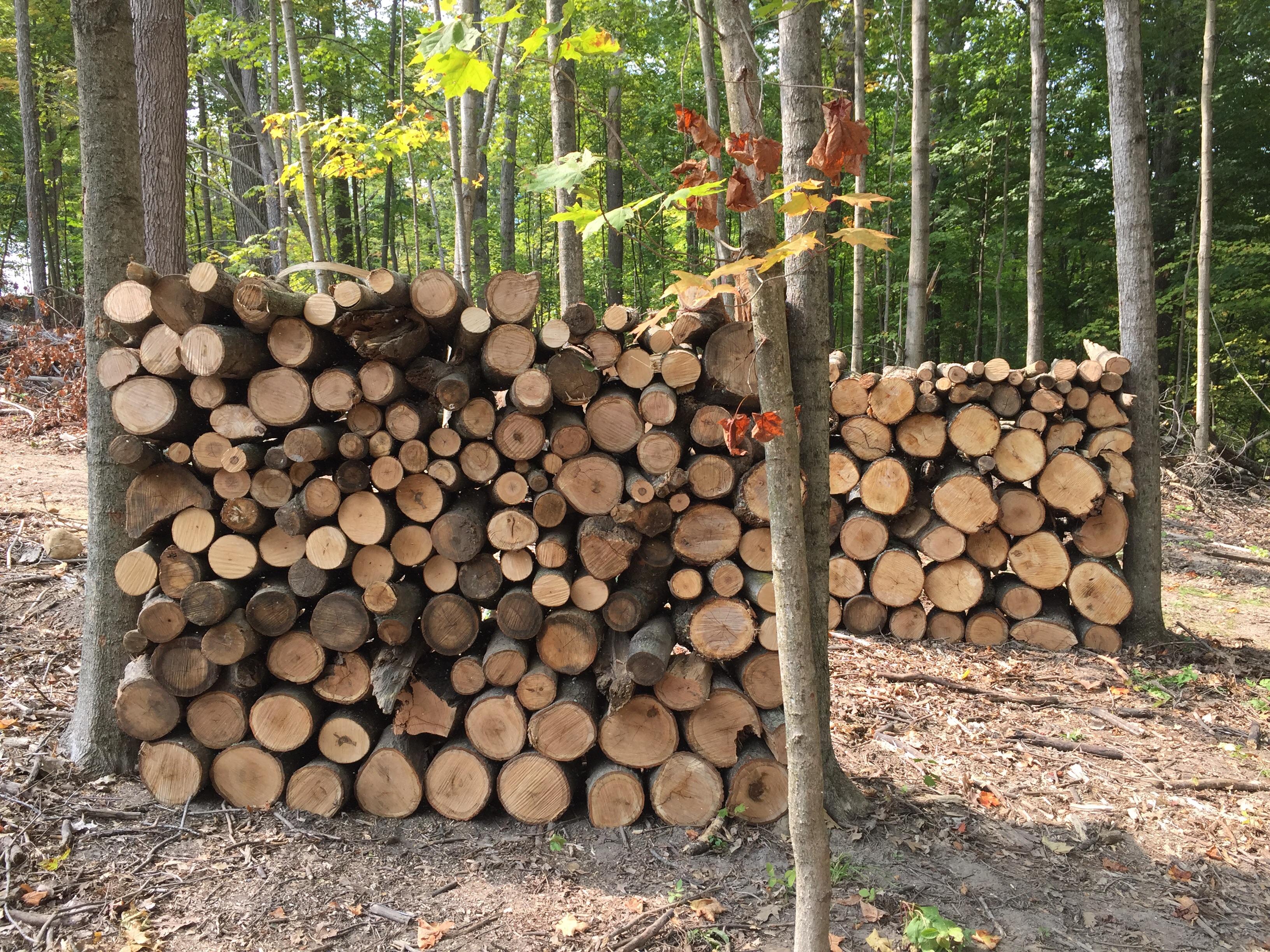 After a weekend of cutting and stacking, pretty proud of these wood