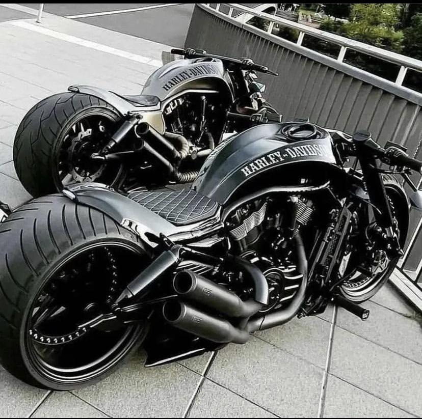 Custom V Rod