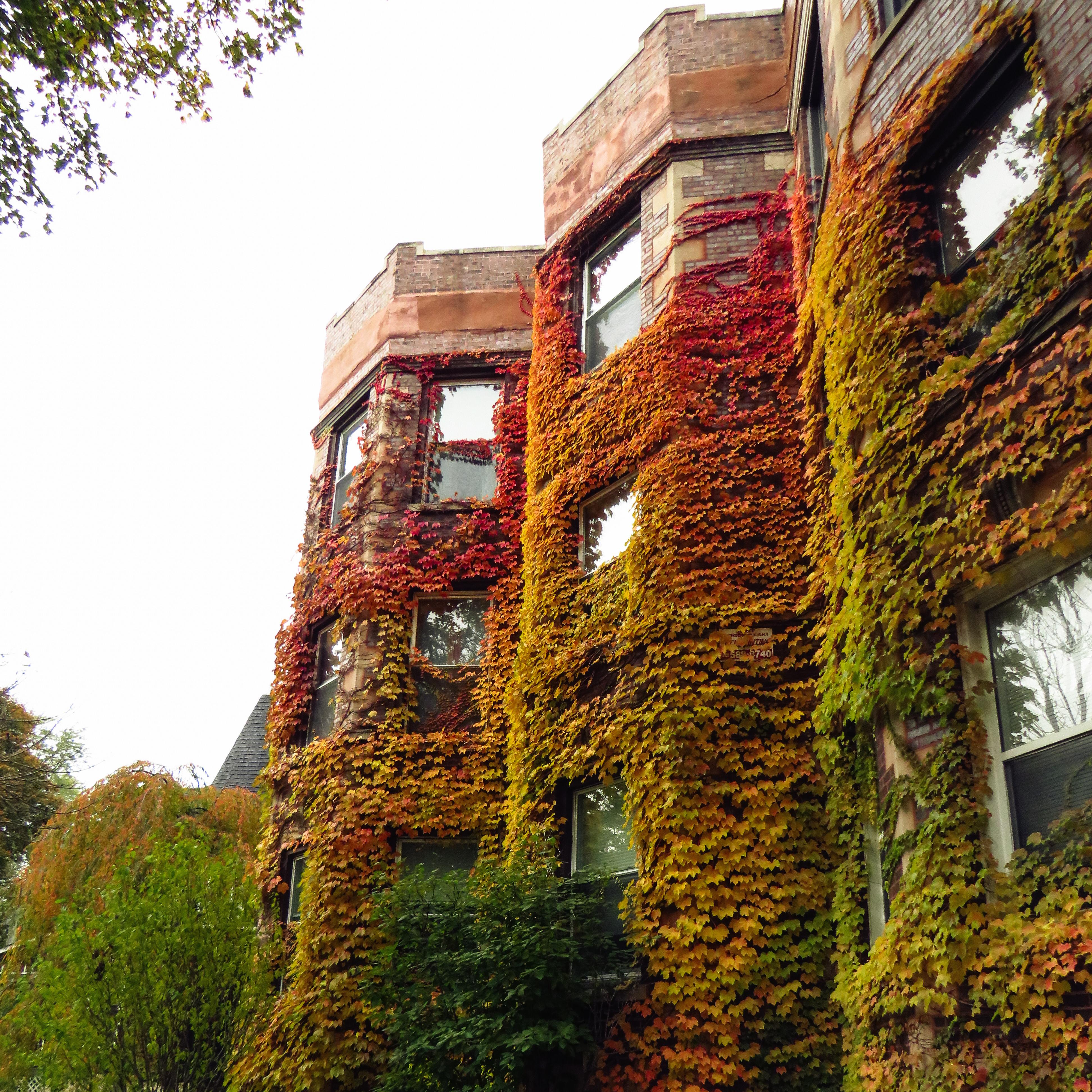 List 104+ Pictures The Estate At Hyde Park Photos Updated 10/2023