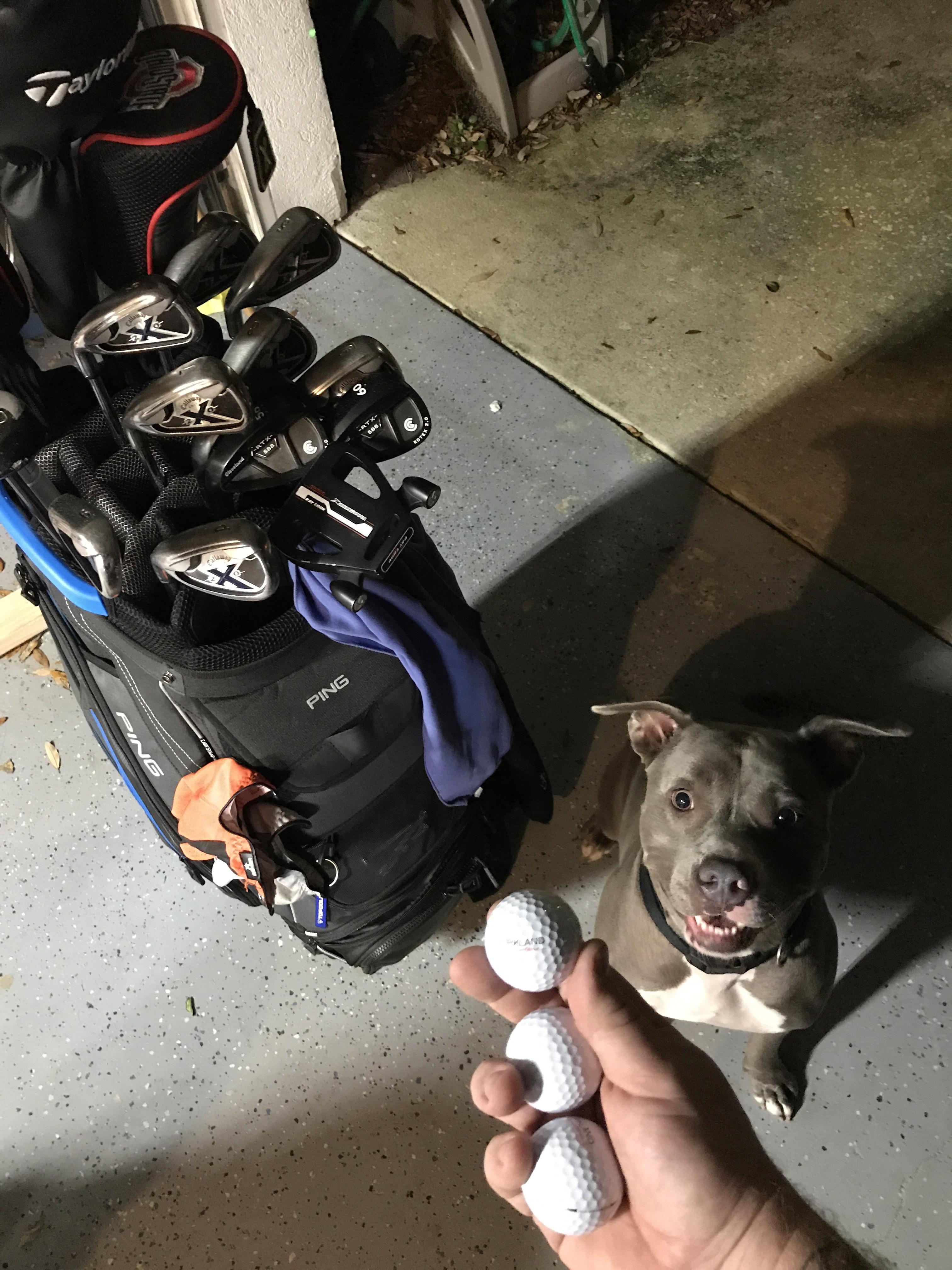 Meyer is super excited to sink his teeth into one of these ksig balls