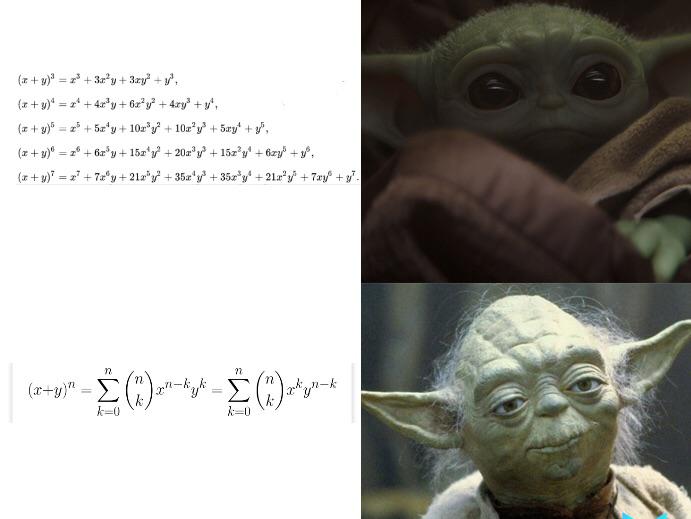 Binomial expansion mathmemes