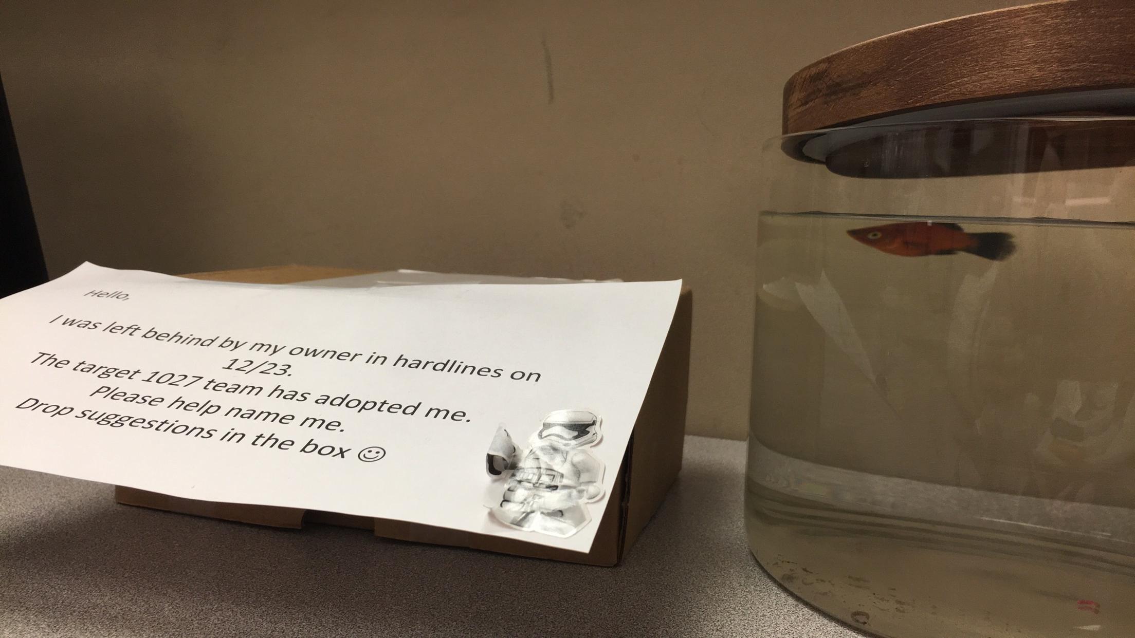 Somebody left their fish in our target today. We adopted and it is now