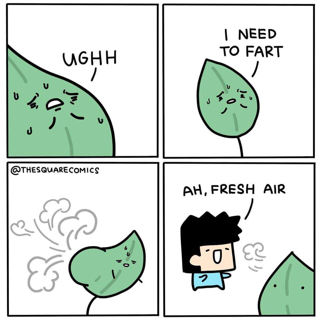Love me some plant farts r/houseplants