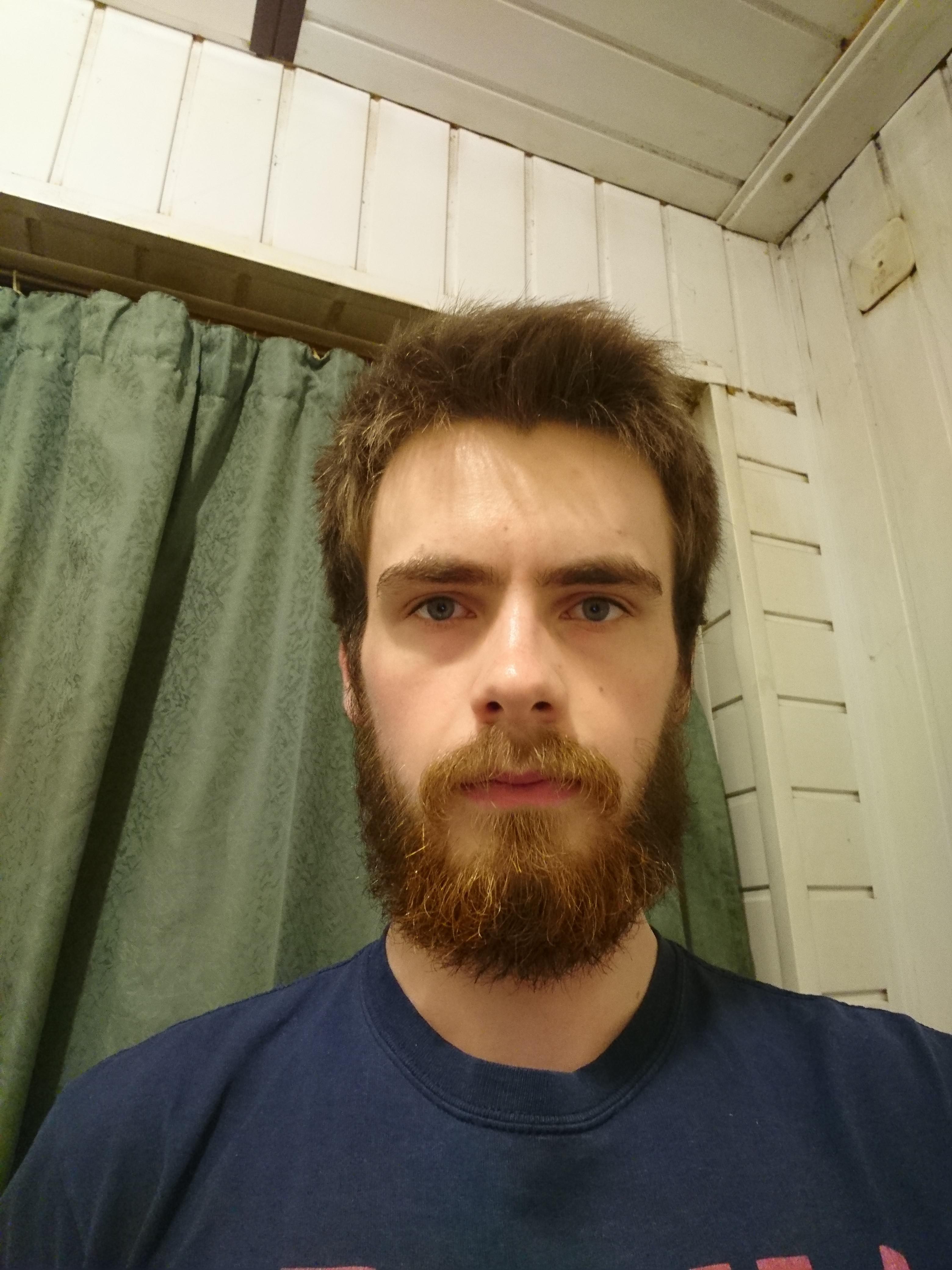 Day 86 natural beard, no trimming, just growing r/beards